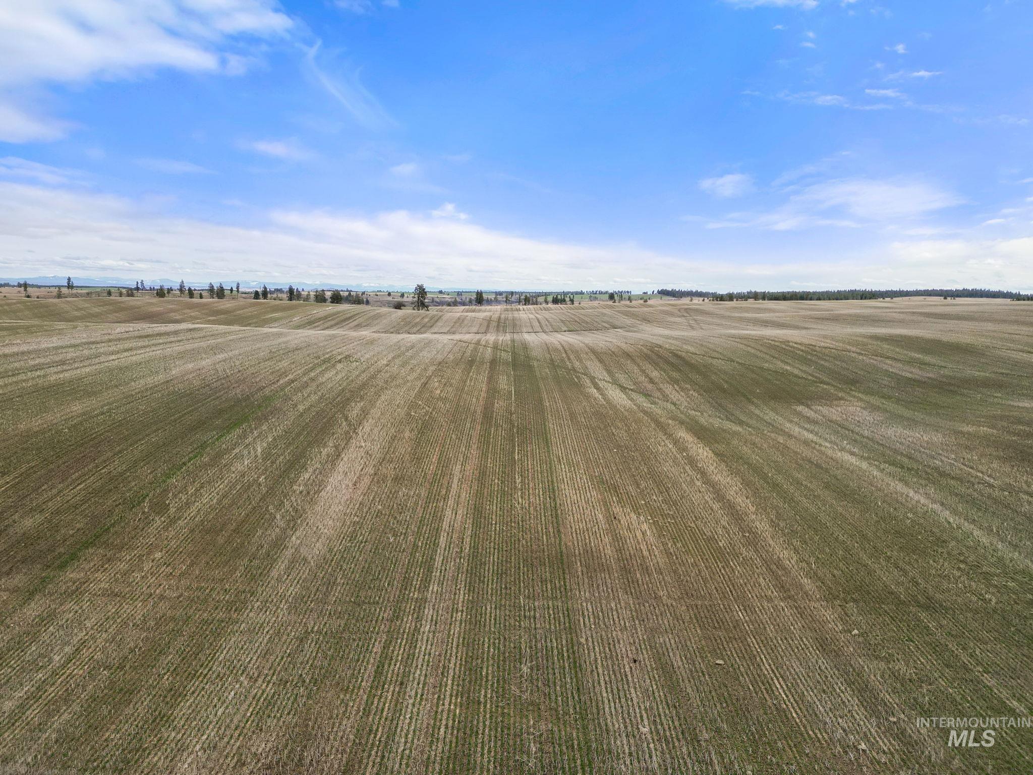 2326 Reubens Road, Reubens, Idaho 83548, Land For Sale, Price $1,299,999, 98941075