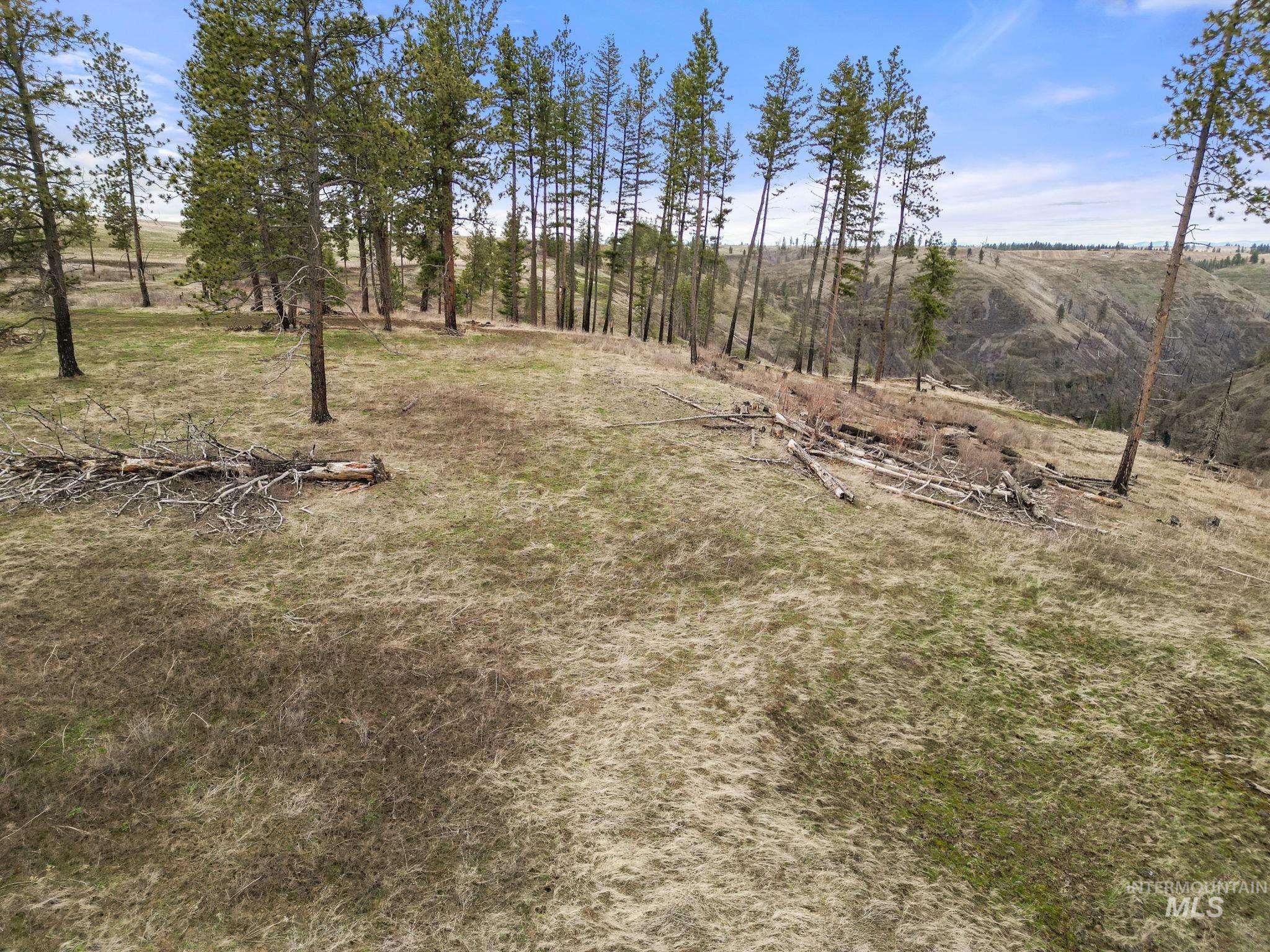 2326 Reubens Road, Reubens, Idaho 83548, Land For Sale, Price $1,299,999, 98941075