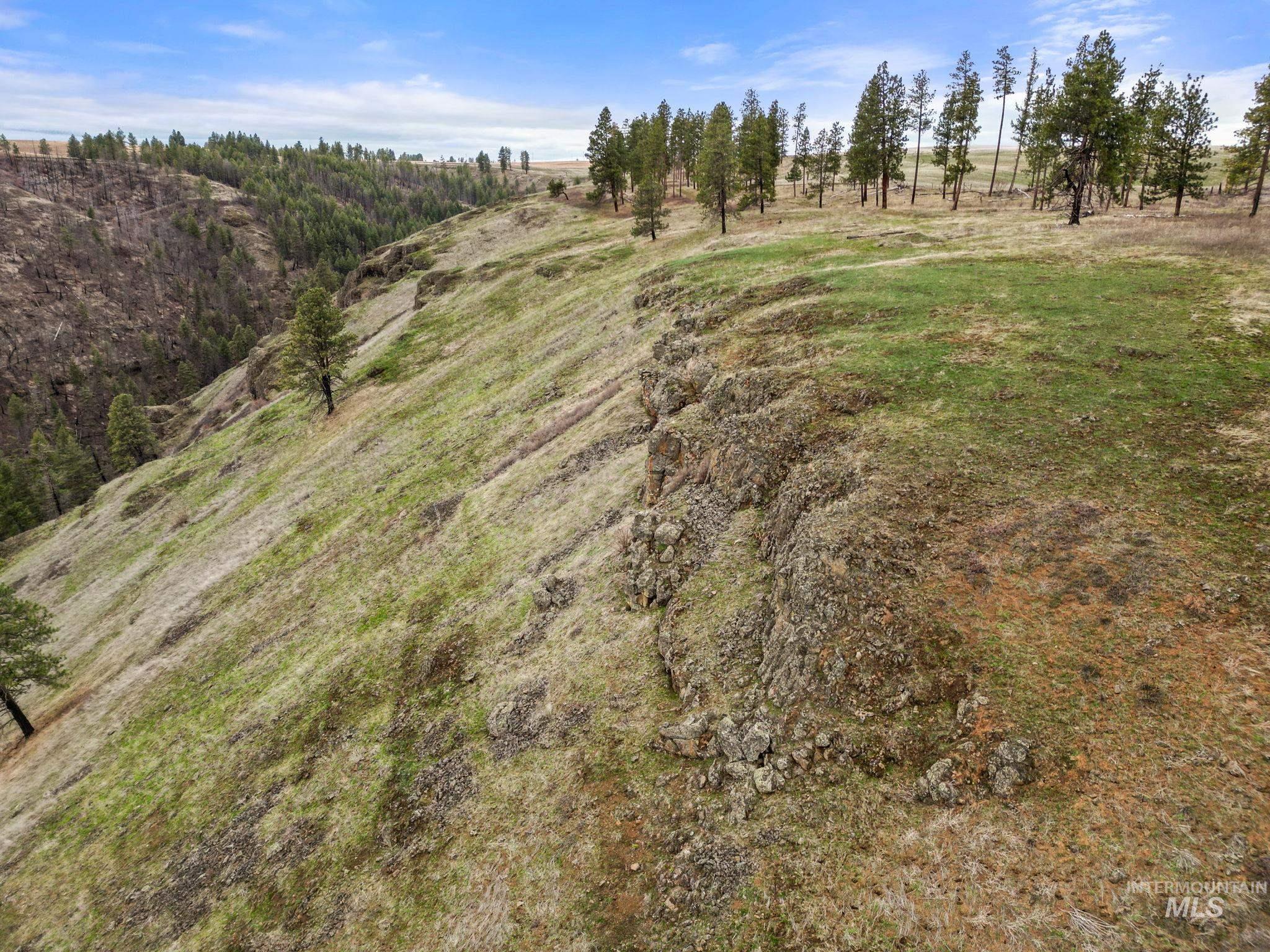 2326 Reubens Road, Reubens, Idaho 83548, Land For Sale, Price $1,299,999, 98941075