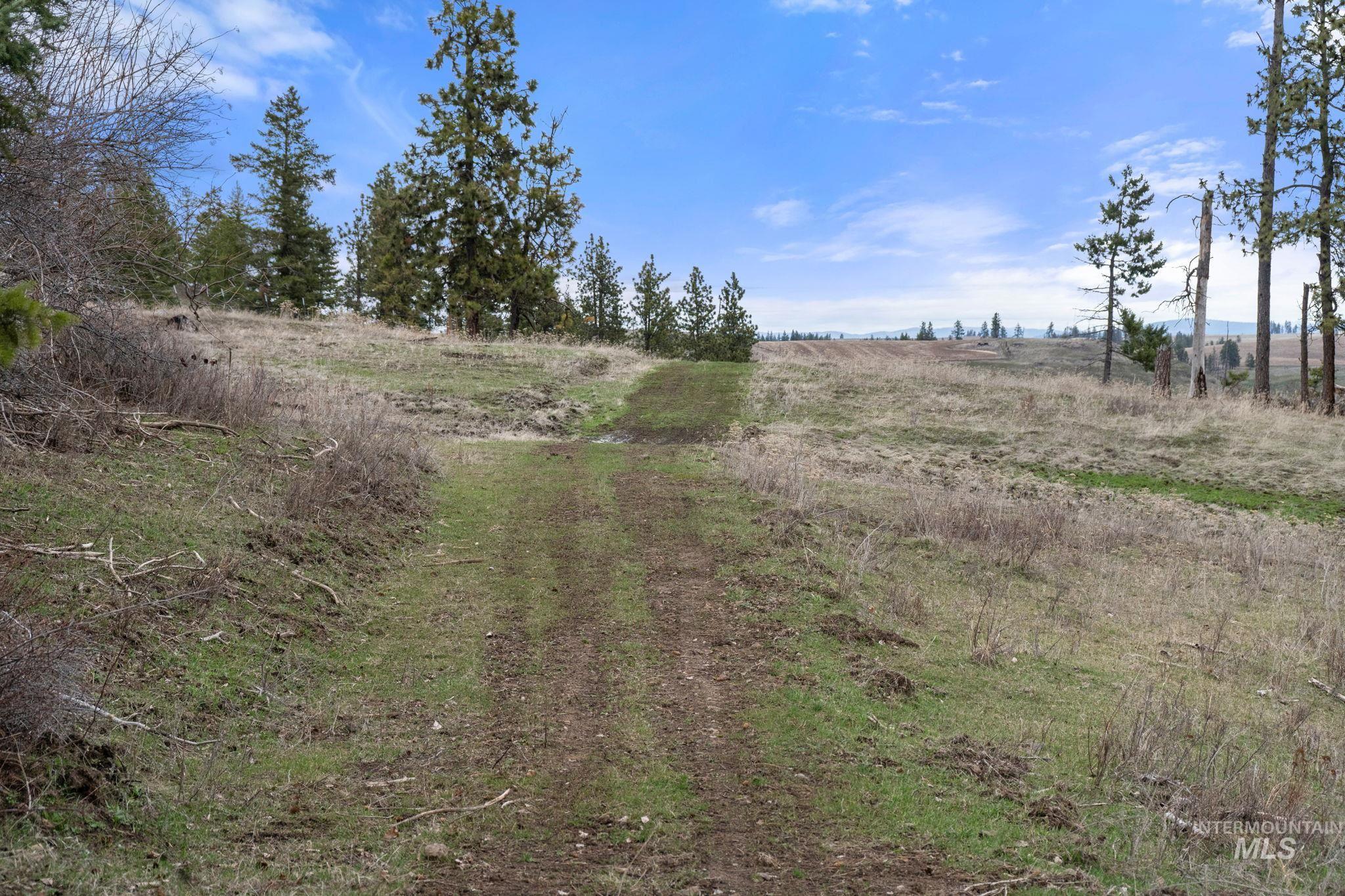 2326 Reubens Road, Reubens, Idaho 83548, Land For Sale, Price $1,299,999, 98941075