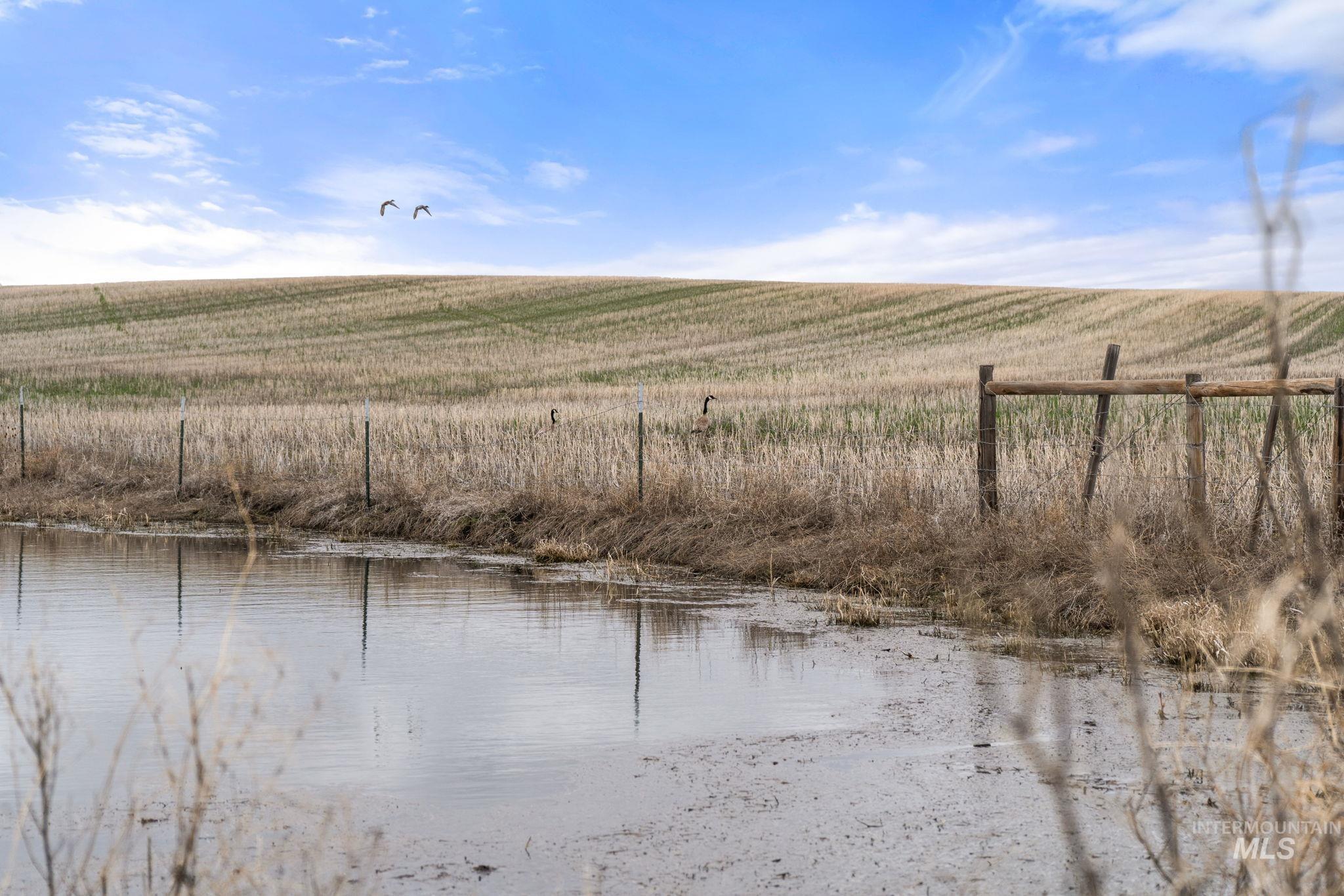 2326 Reubens Road, Reubens, Idaho 83548, Land For Sale, Price $1,299,999, 98941075