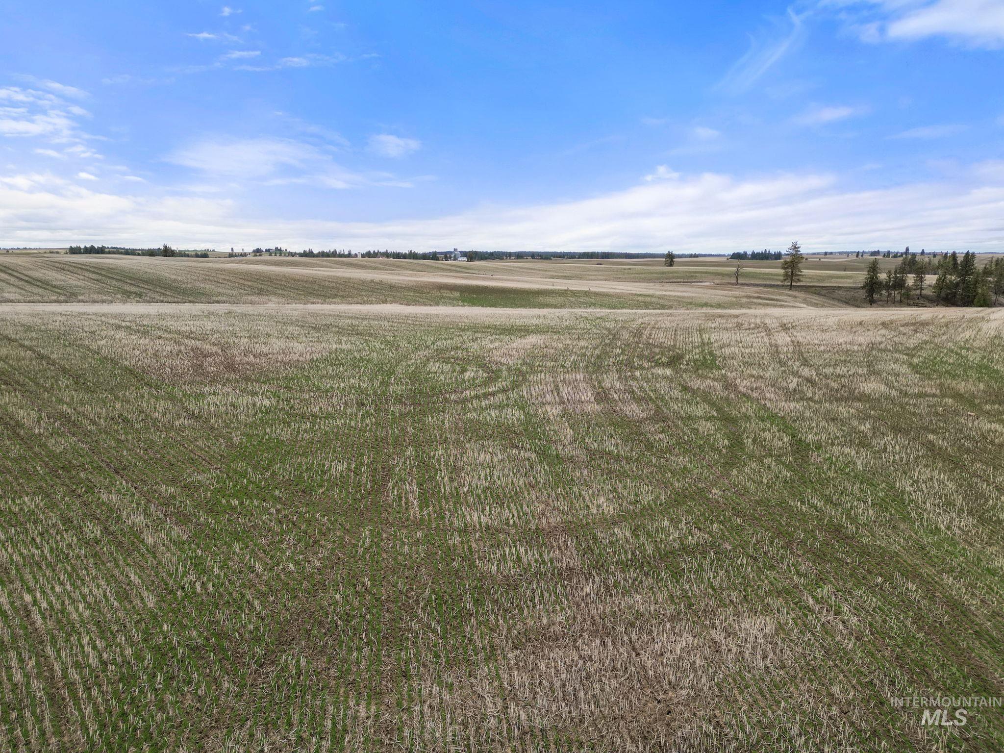 2326 Reubens Road, Reubens, Idaho 83548, Land For Sale, Price $1,299,999, 98941075