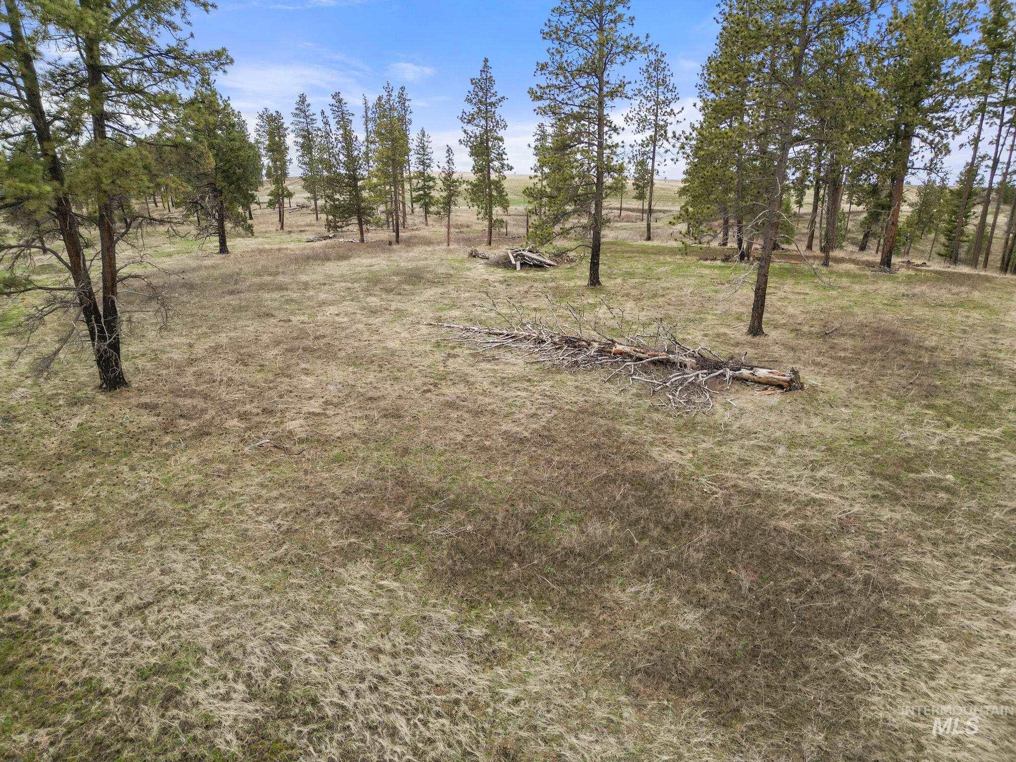 2326 Reubens Road, Reubens, Idaho 83548, Land For Sale, Price $1,299,999, 98941075