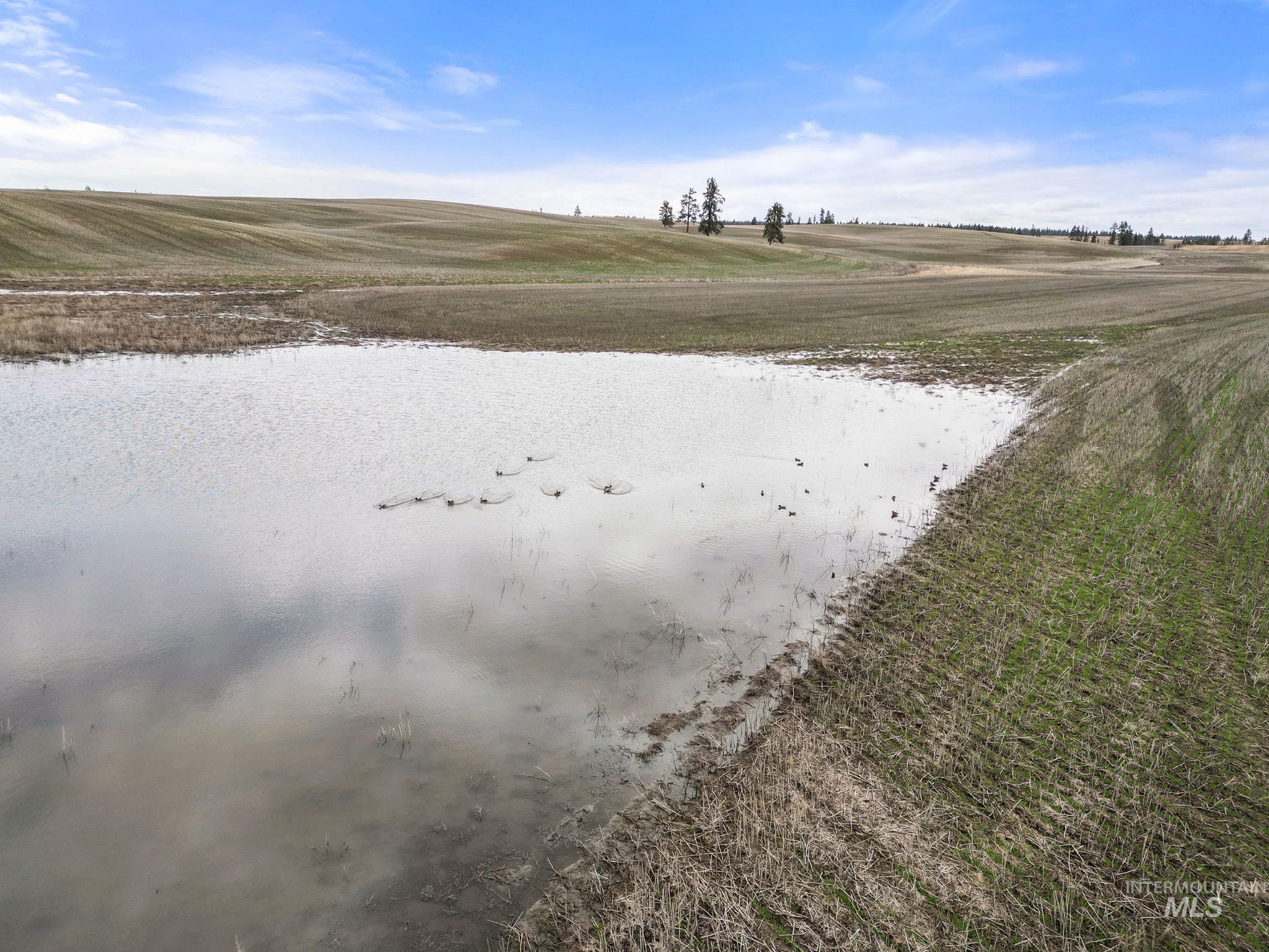 2326 Reubens Road, Reubens, Idaho 83548, Land For Sale, Price $1,299,999, 98941075