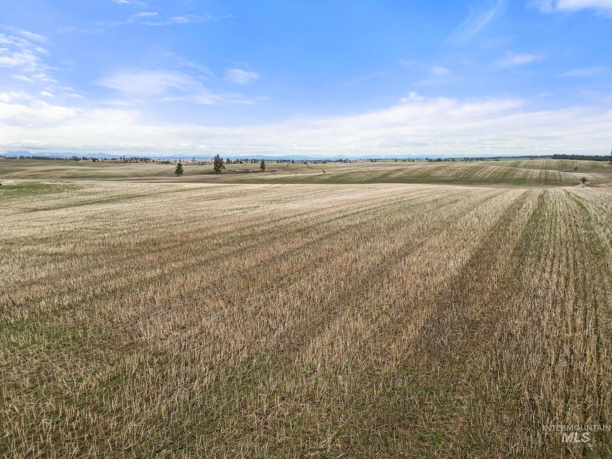 2326 Reubens Road, Reubens, Idaho 83548, Land For Sale, Price $1,299,999, 98941075