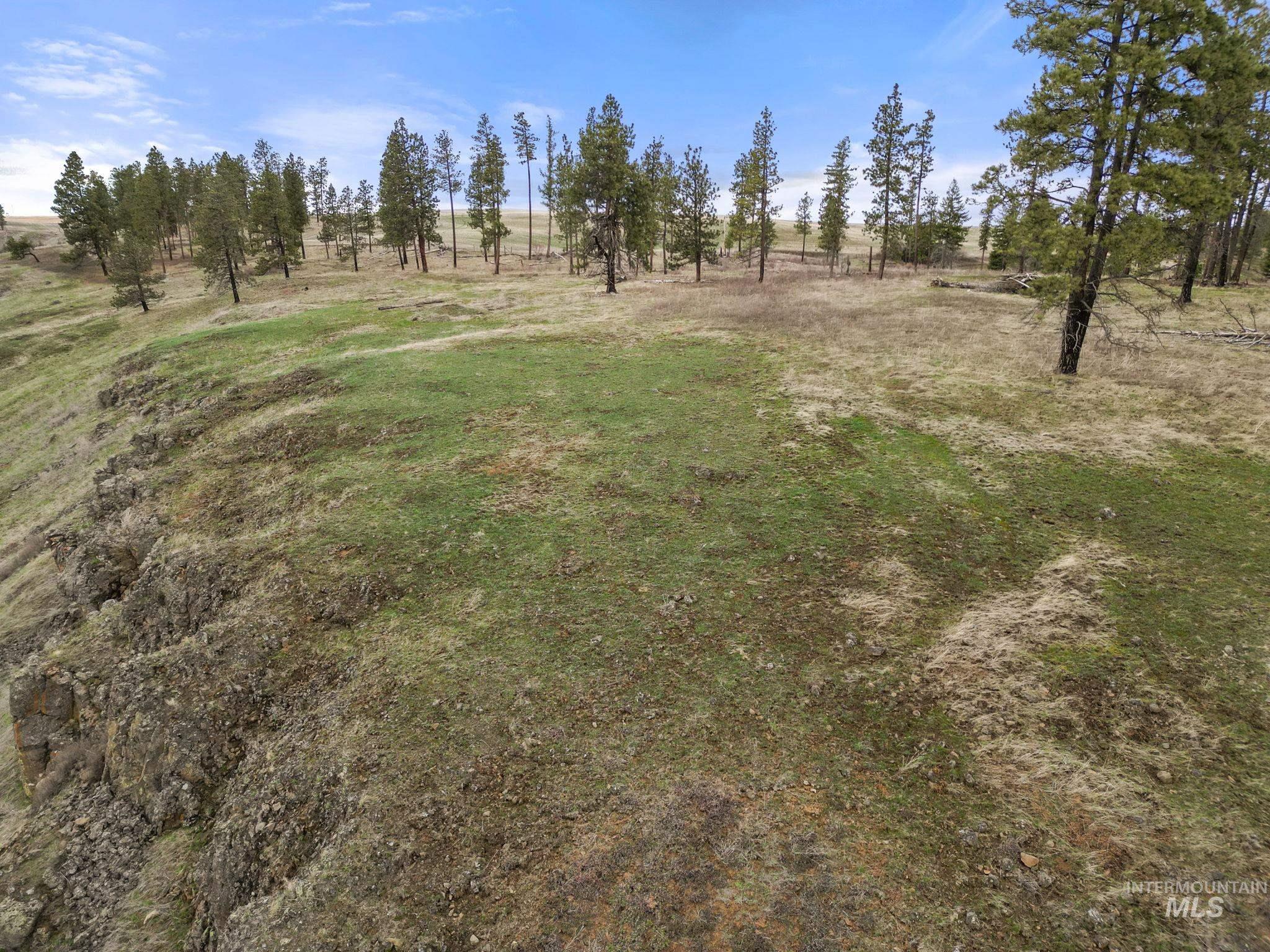 2326 Reubens Road, Reubens, Idaho 83548, Land For Sale, Price $1,299,999, 98941075