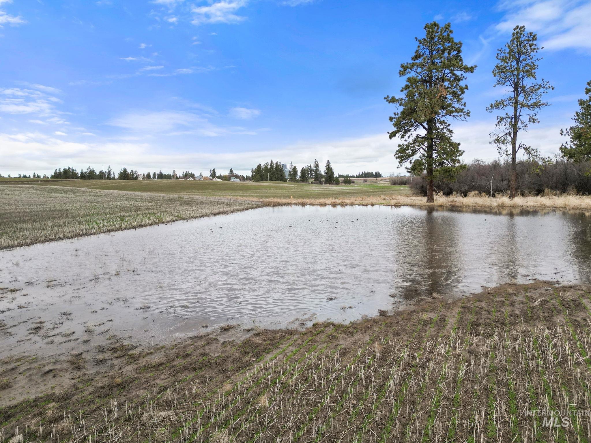 2326 Reubens Road, Reubens, Idaho 83548, Land For Sale, Price $1,299,999, 98941075