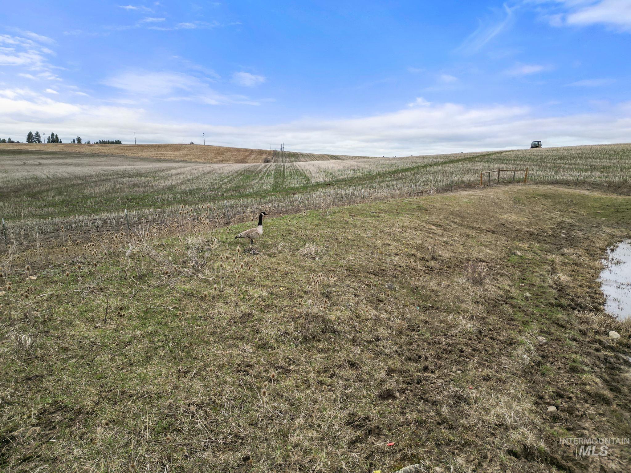 2326 Reubens Road, Reubens, Idaho 83548, Land For Sale, Price $1,299,999, 98941075