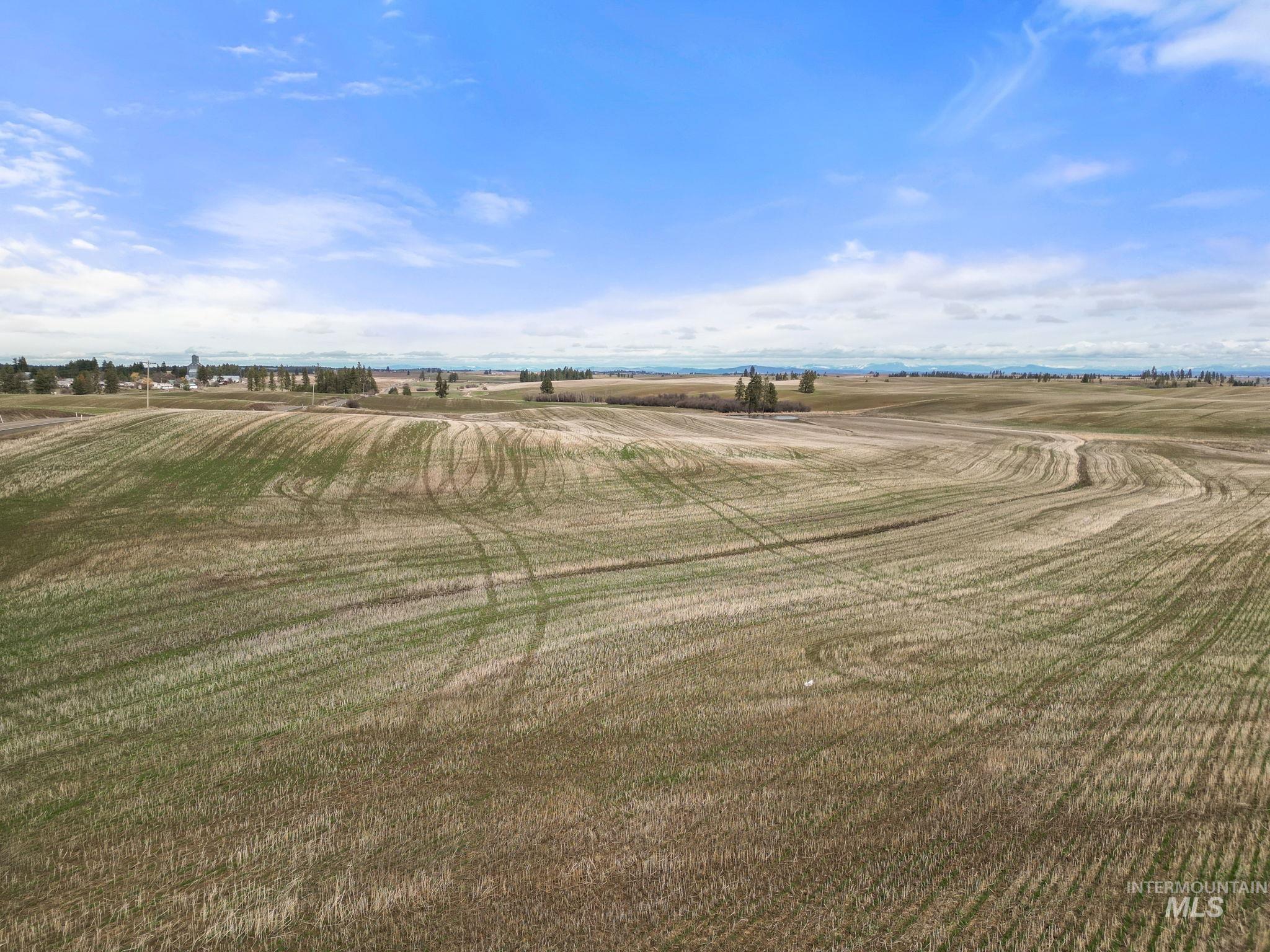 2326 Reubens Road, Reubens, Idaho 83548, Land For Sale, Price $1,299,999, 98941075