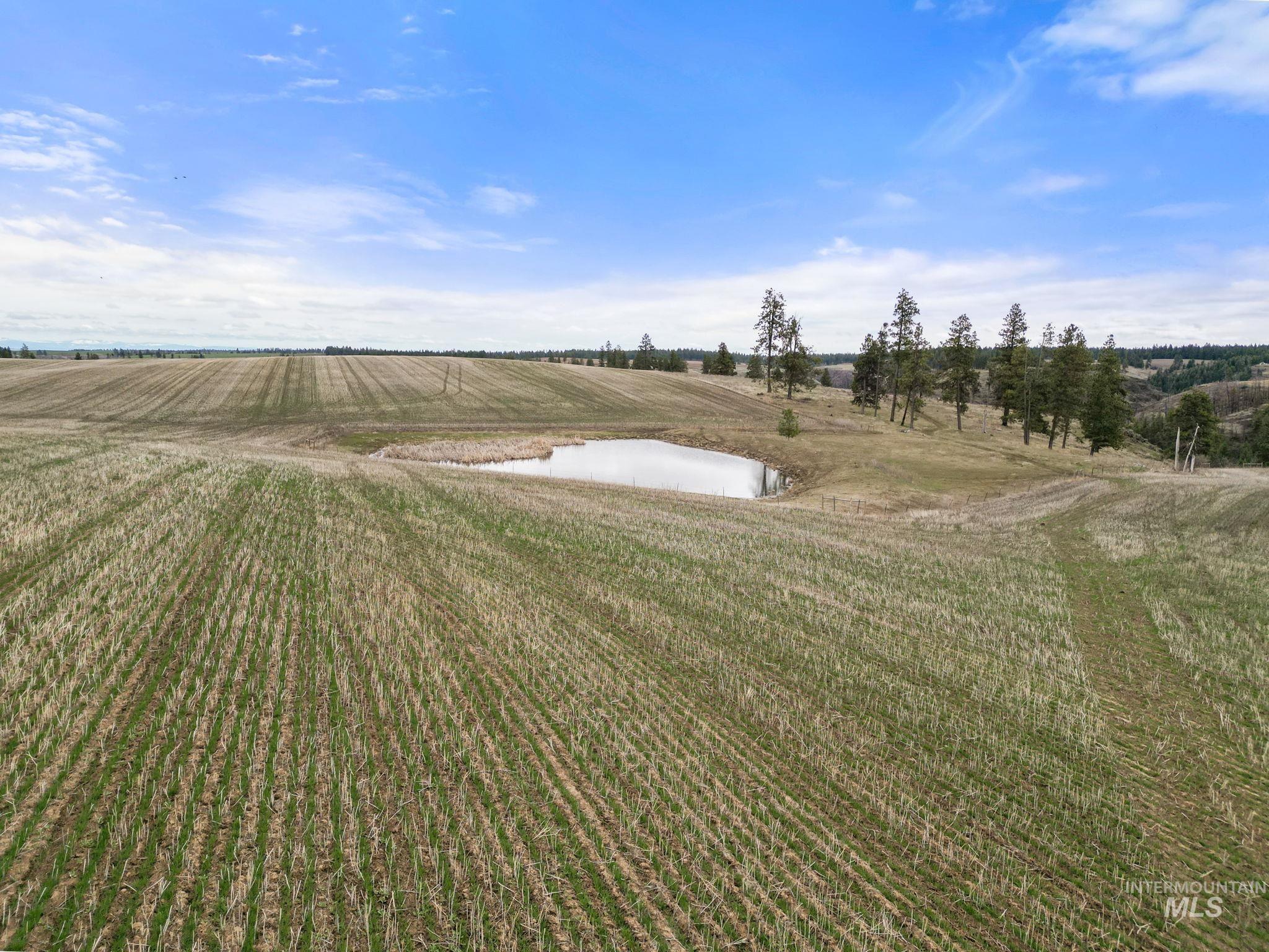 2326 Reubens Road, Reubens, Idaho 83548, Land For Sale, Price $1,299,999, 98941075