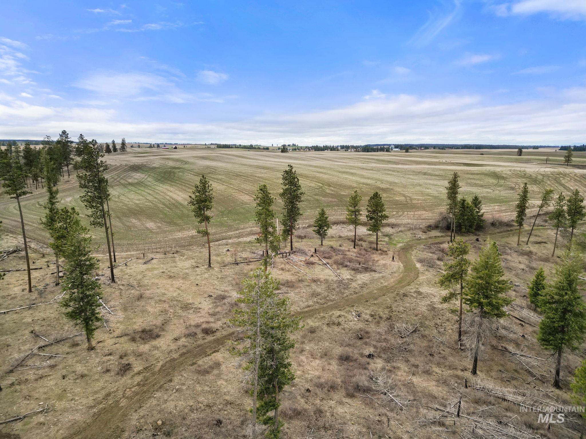 2326 Reubens Road, Reubens, Idaho 83548, Land For Sale, Price $1,299,999, 98941075