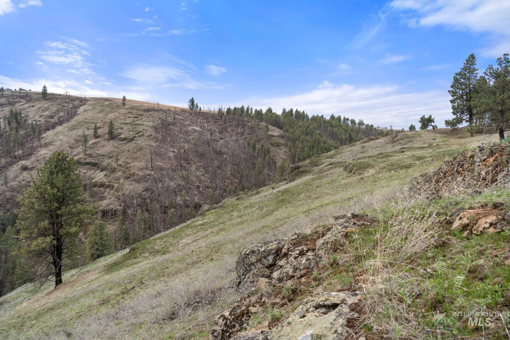 2326 Reubens Road, Reubens, Idaho 83548, Land For Sale, Price $1,299,999, 98941075