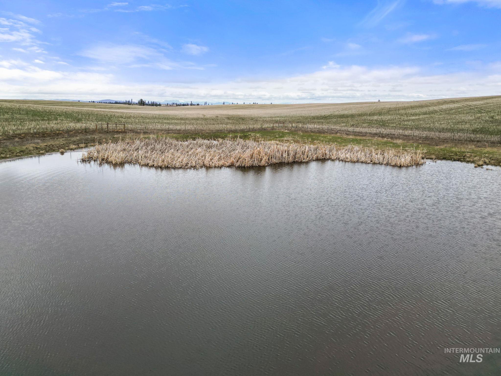 2326 Reubens Road, Reubens, Idaho 83548, Land For Sale, Price $1,299,999, 98941075