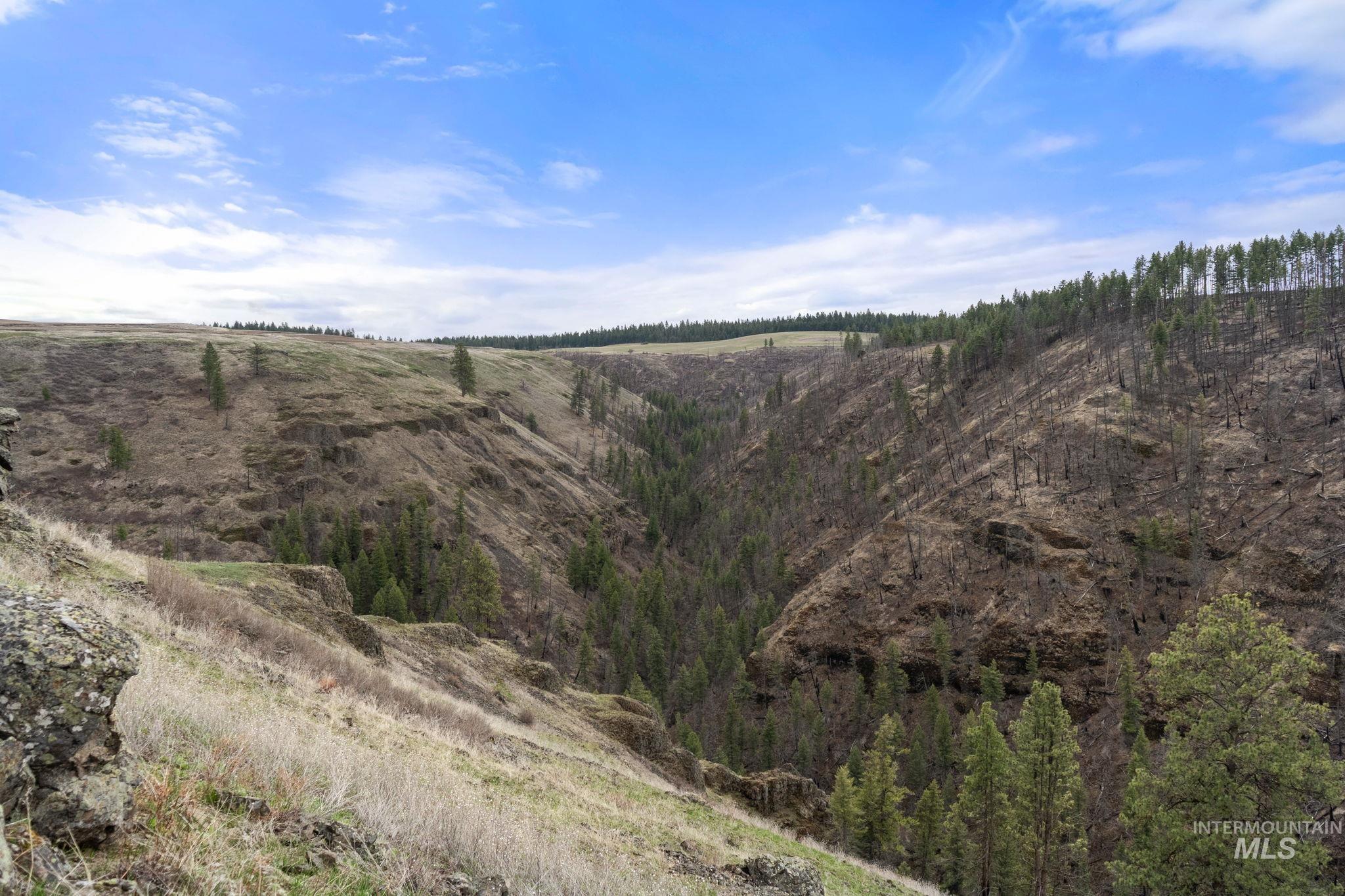 2326 Reubens Road, Reubens, Idaho 83548, Land For Sale, Price $1,299,999, 98941075