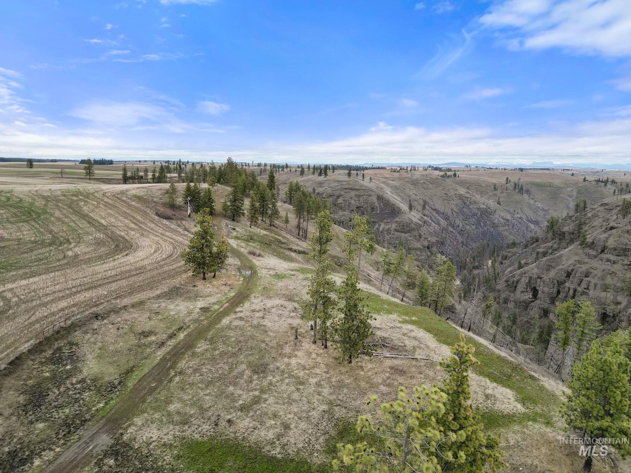 2326 Reubens Road, Reubens, Idaho 83548, Land For Sale, Price $1,299,999, 98941075