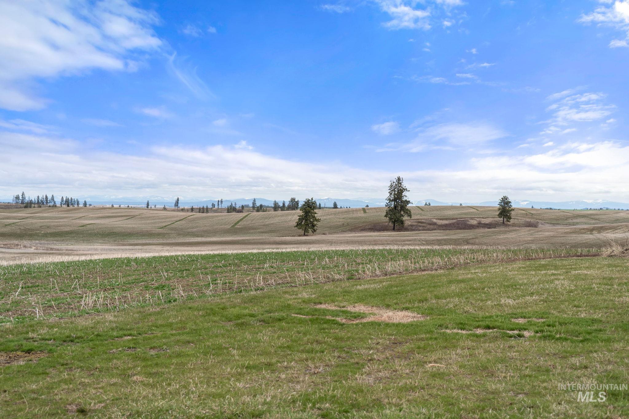 2326 Reubens Road, Reubens, Idaho 83548, Land For Sale, Price $1,299,999, 98941075