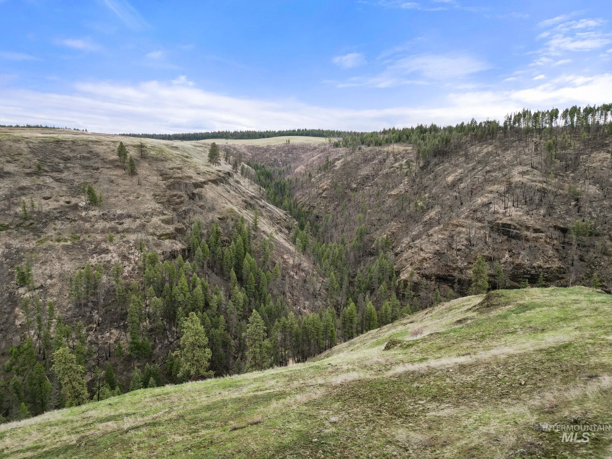 2326 Reubens Road, Reubens, Idaho 83548, Land For Sale, Price $1,299,999, 98941075