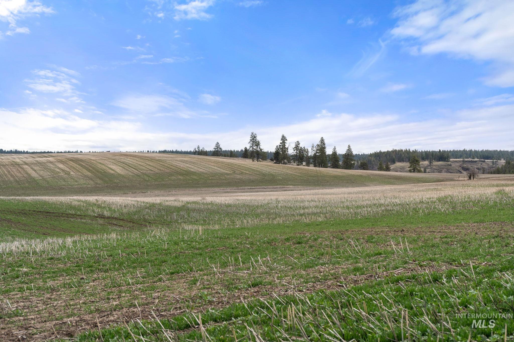 2326 Reubens Road, Reubens, Idaho 83548, Land For Sale, Price $1,299,999, 98941075