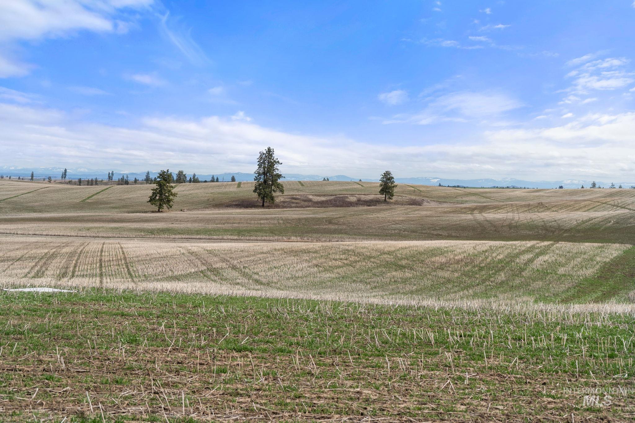 2326 Reubens Road, Reubens, Idaho 83548, Land For Sale, Price $1,299,999, 98941075