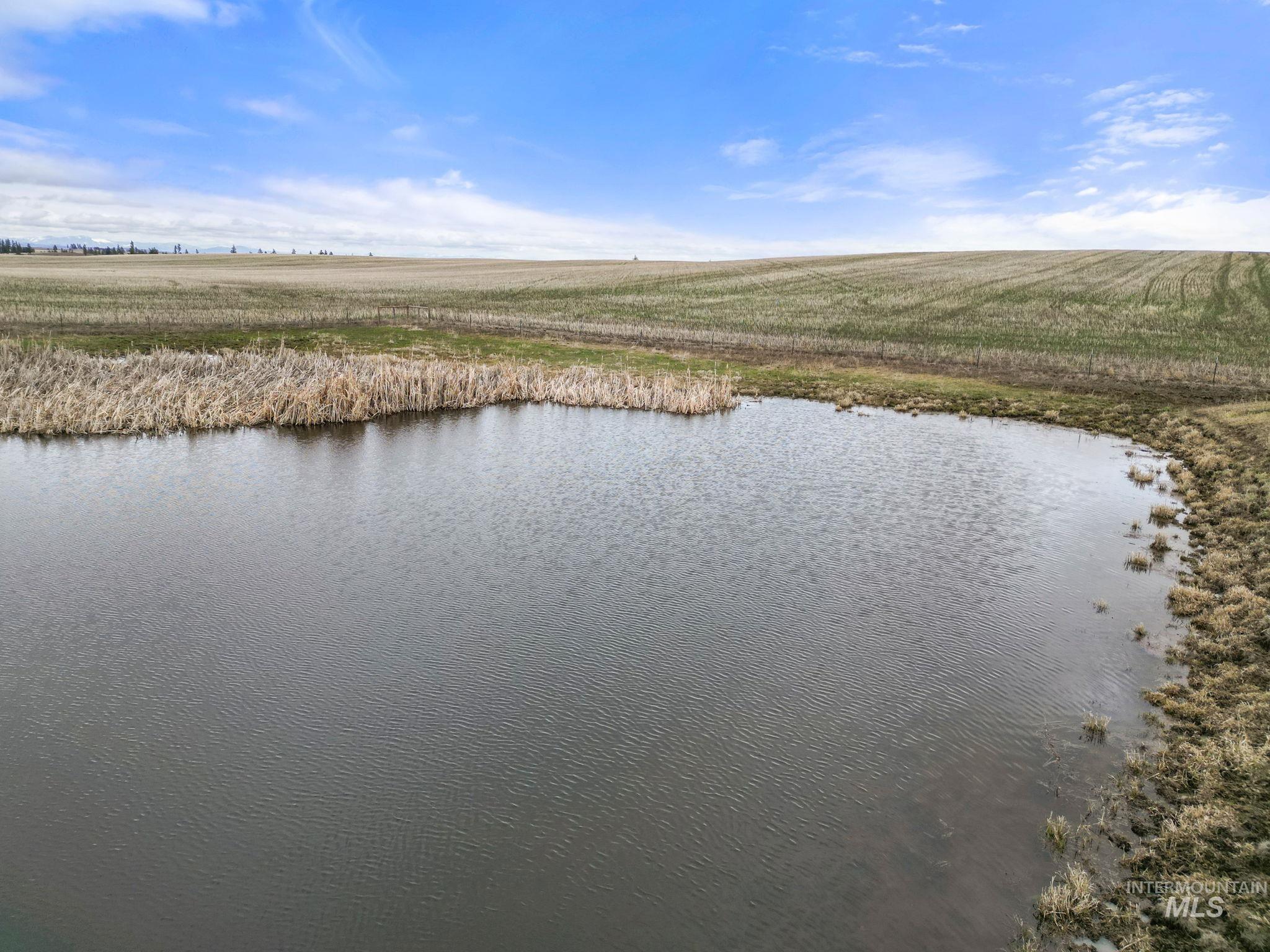 2326 Reubens Road, Reubens, Idaho 83548, Land For Sale, Price $1,299,999, 98941075