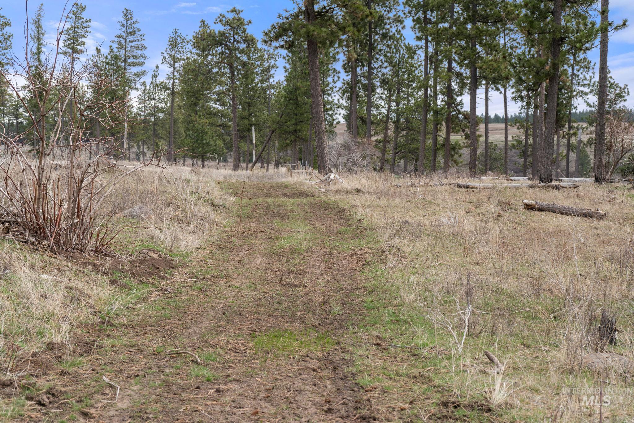 2326 Reubens Road, Reubens, Idaho 83548, Land For Sale, Price $1,299,999, 98941075