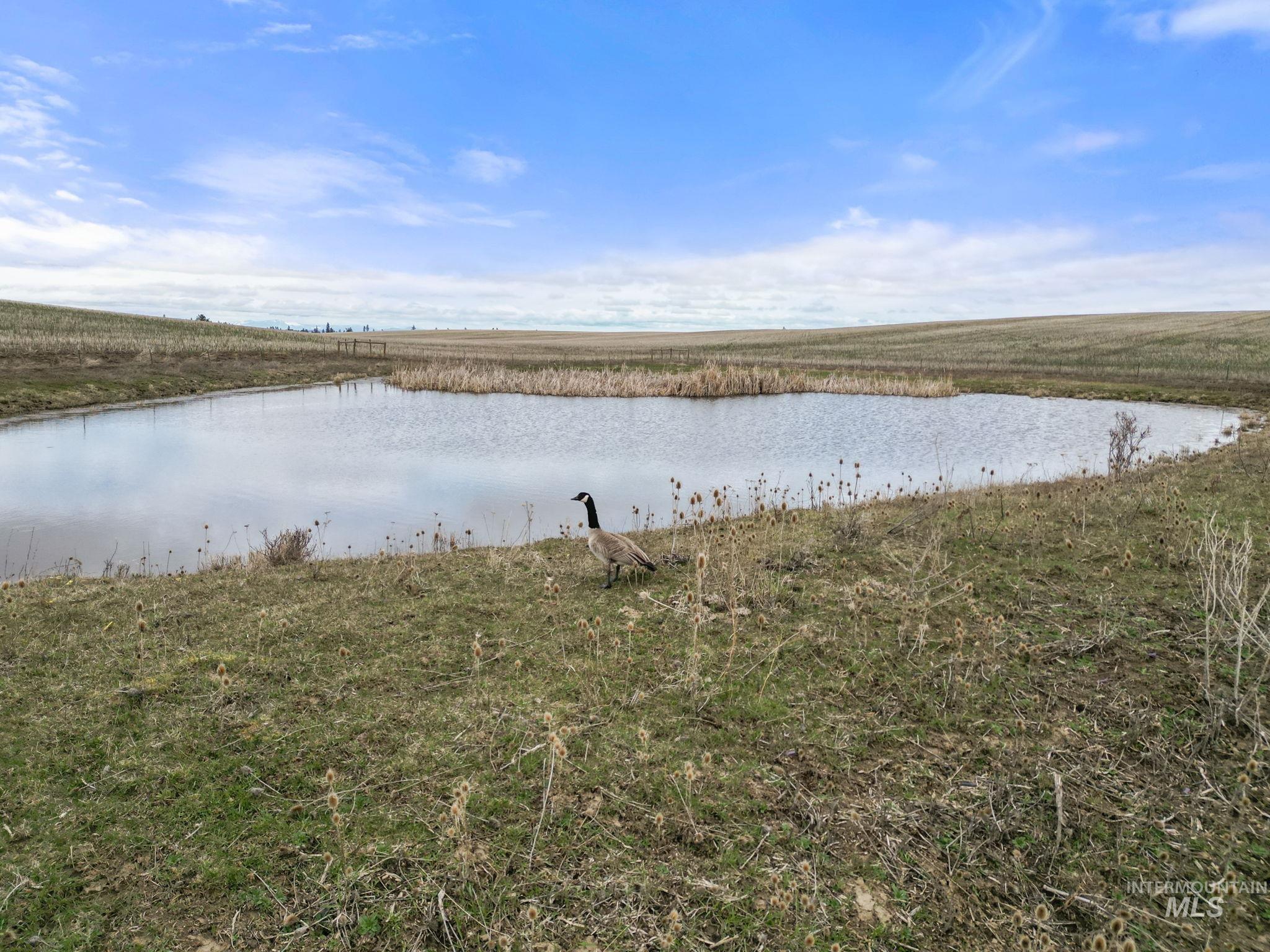 2326 Reubens Road, Reubens, Idaho 83548, Land For Sale, Price $1,299,999, 98941075