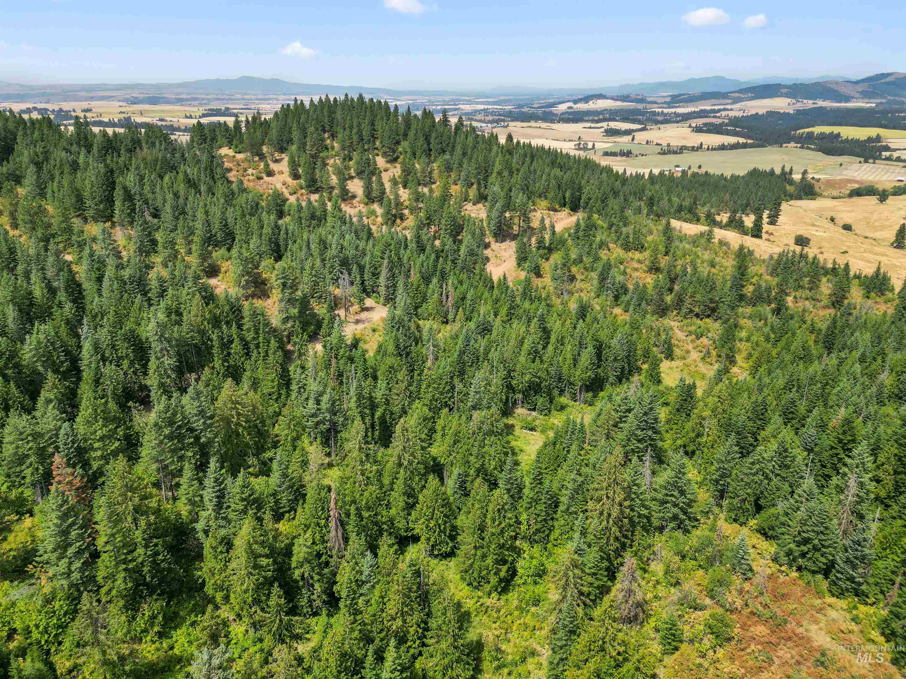 TBD Bluegrass Lane, Kendrick, Idaho 83537, Land For Sale, Price $325,000, 98941078