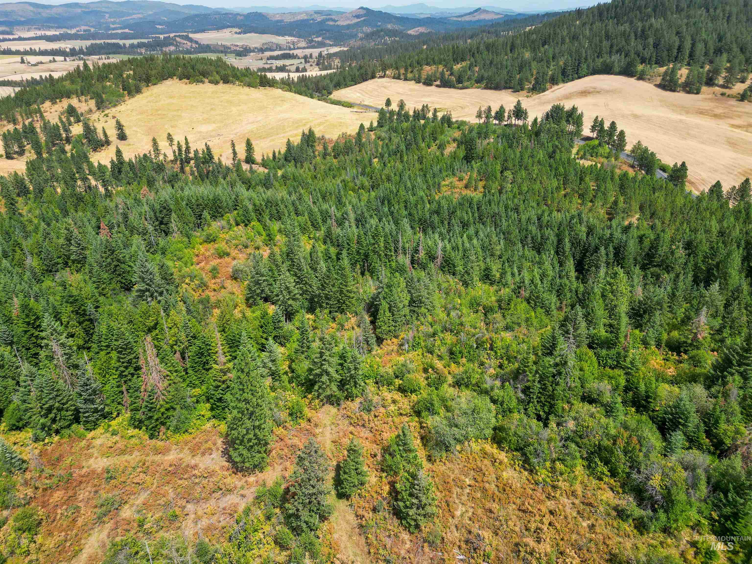 TBD Bluegrass Lane, Kendrick, Idaho 83537, Land For Sale, Price $325,000, 98941078