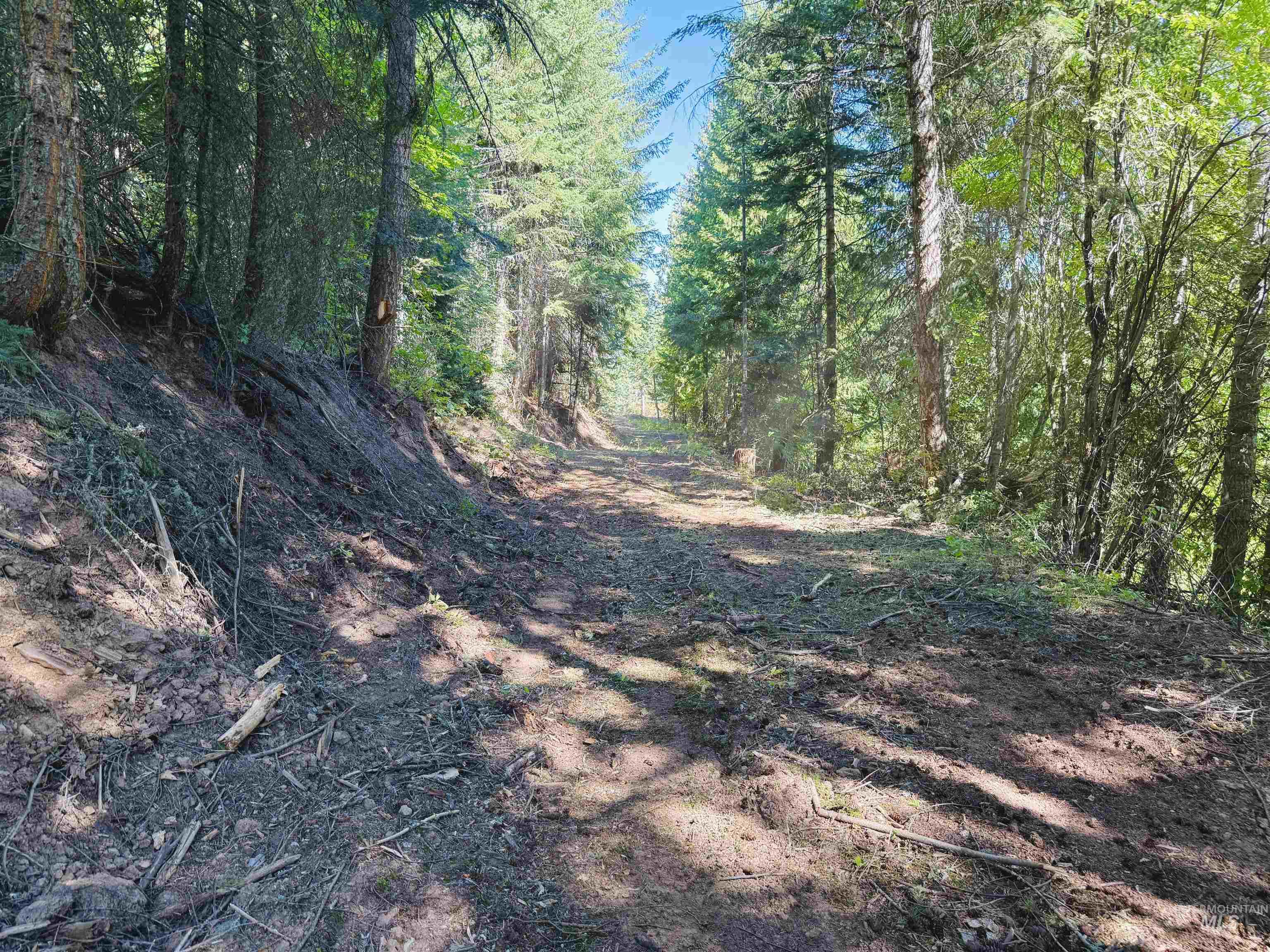 View of wooded area
