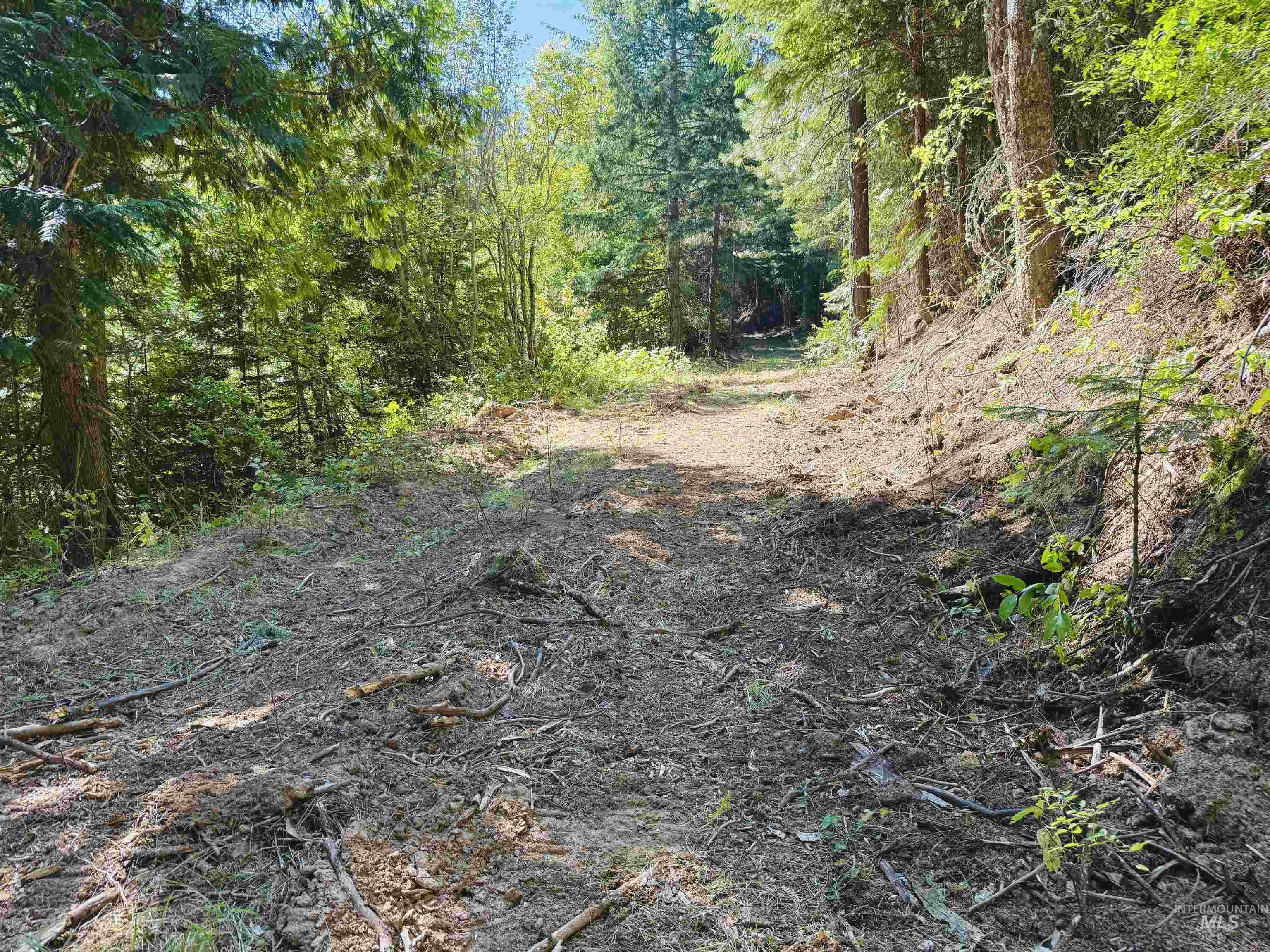 View of woods