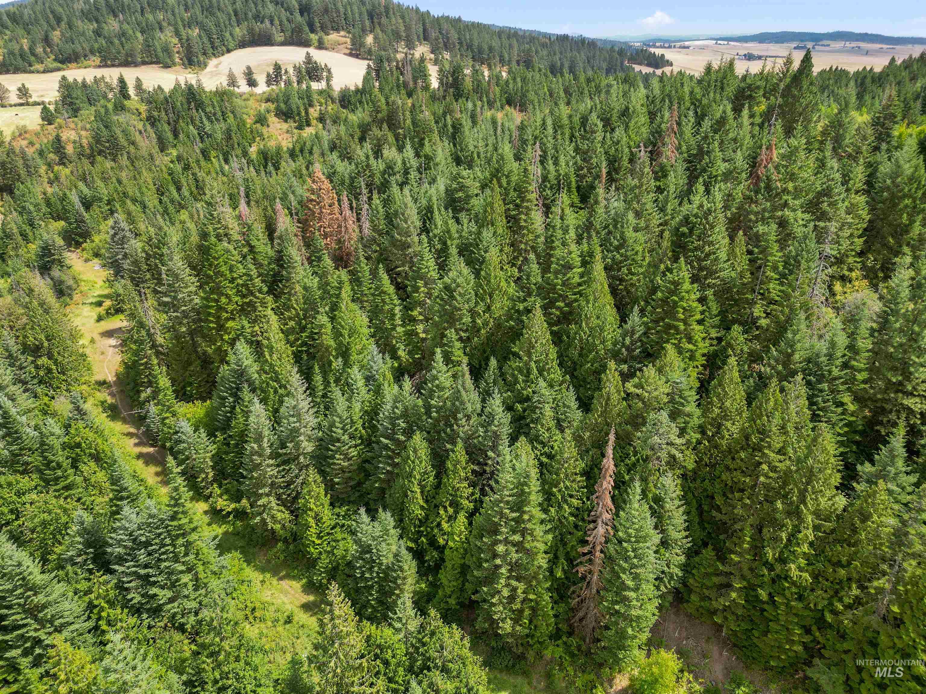 TBD Bluegrass Lane, Kendrick, Idaho 83537, Land For Sale, Price $325,000, 98941078