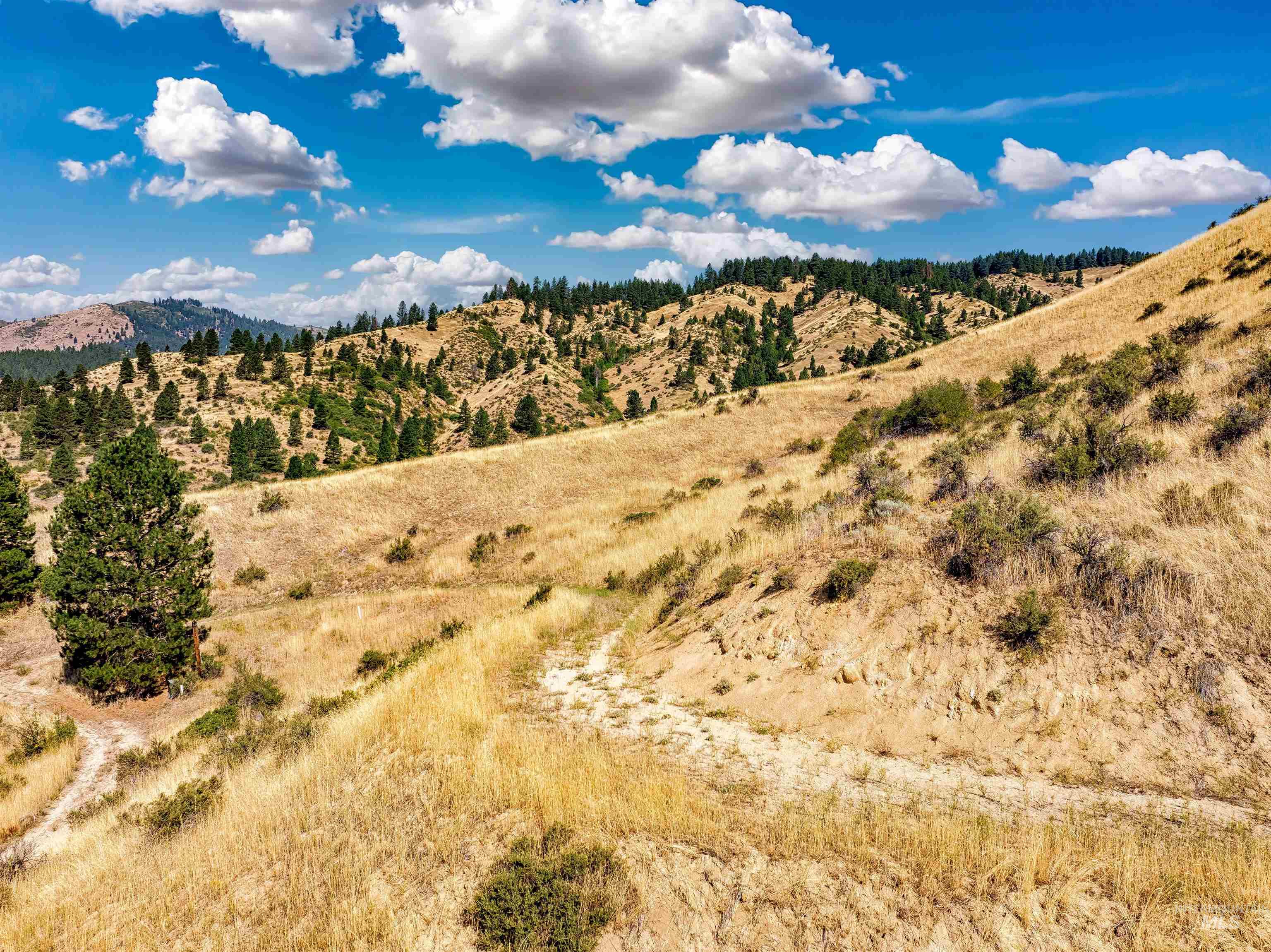 LOTS 17&18 Napias Sub Division, Boise, Idaho 83716, Land For Sale, Price $199,000, 98941140