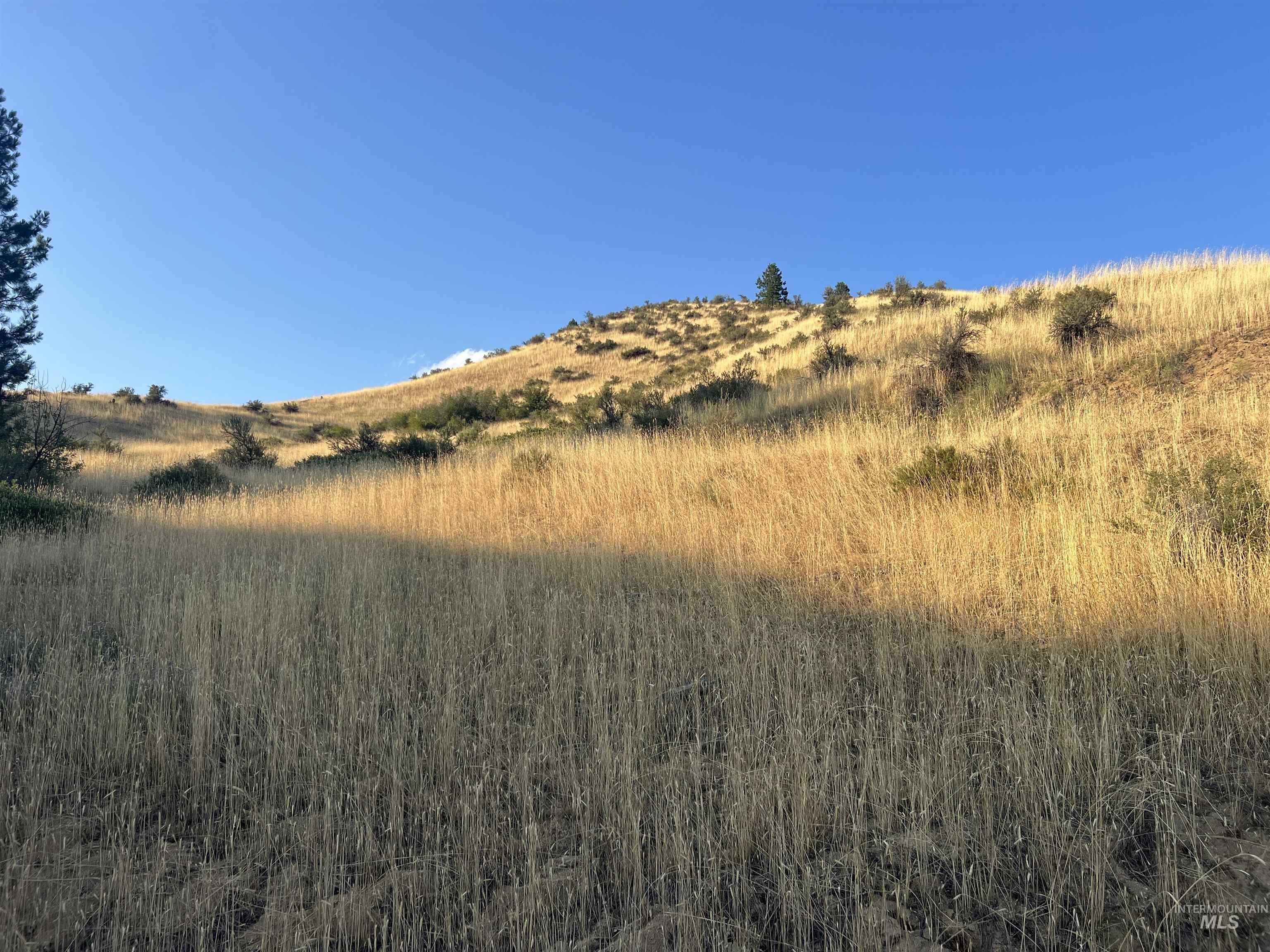 LOTS 17&18 Napias Sub Division, Boise, Idaho 83716, Land For Sale, Price $199,000, 98941140