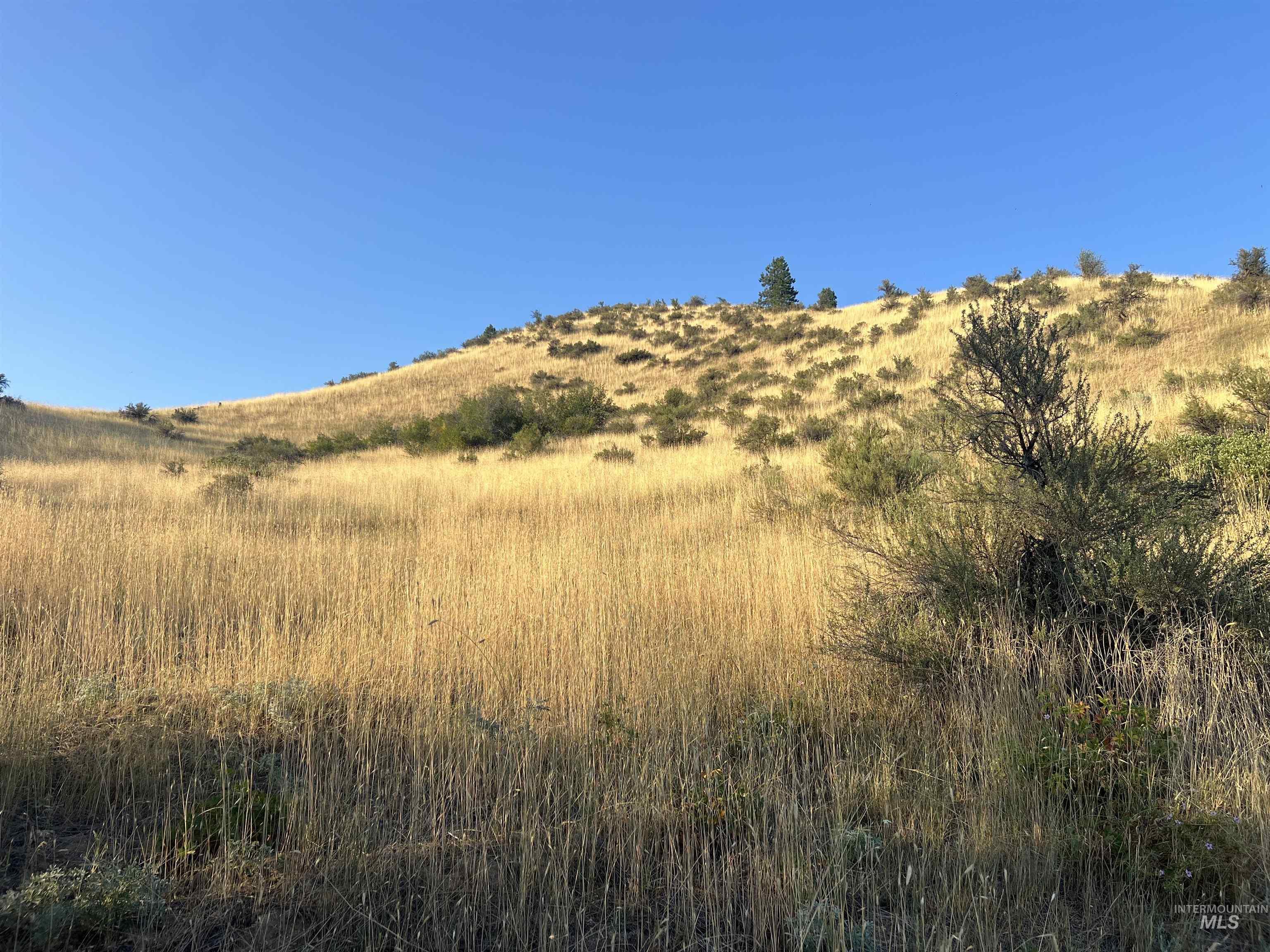 LOTS 17&18 Napias Sub Division, Boise, Idaho 83716, Land For Sale, Price $199,000, 98941140
