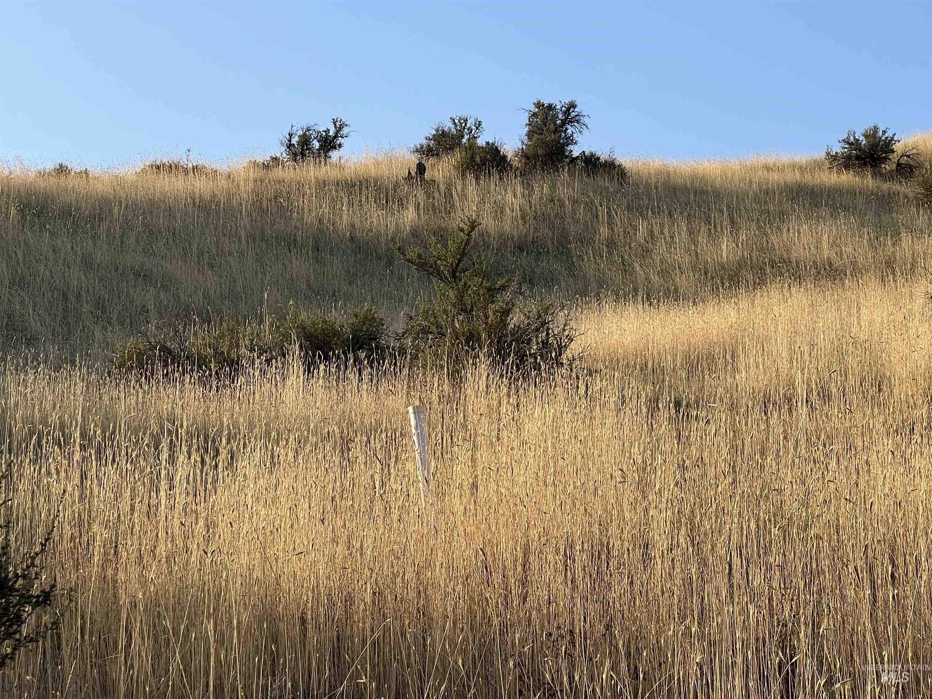 LOTS 17&18 Napias Sub Division, Boise, Idaho 83716, Land For Sale, Price $199,000, 98941140