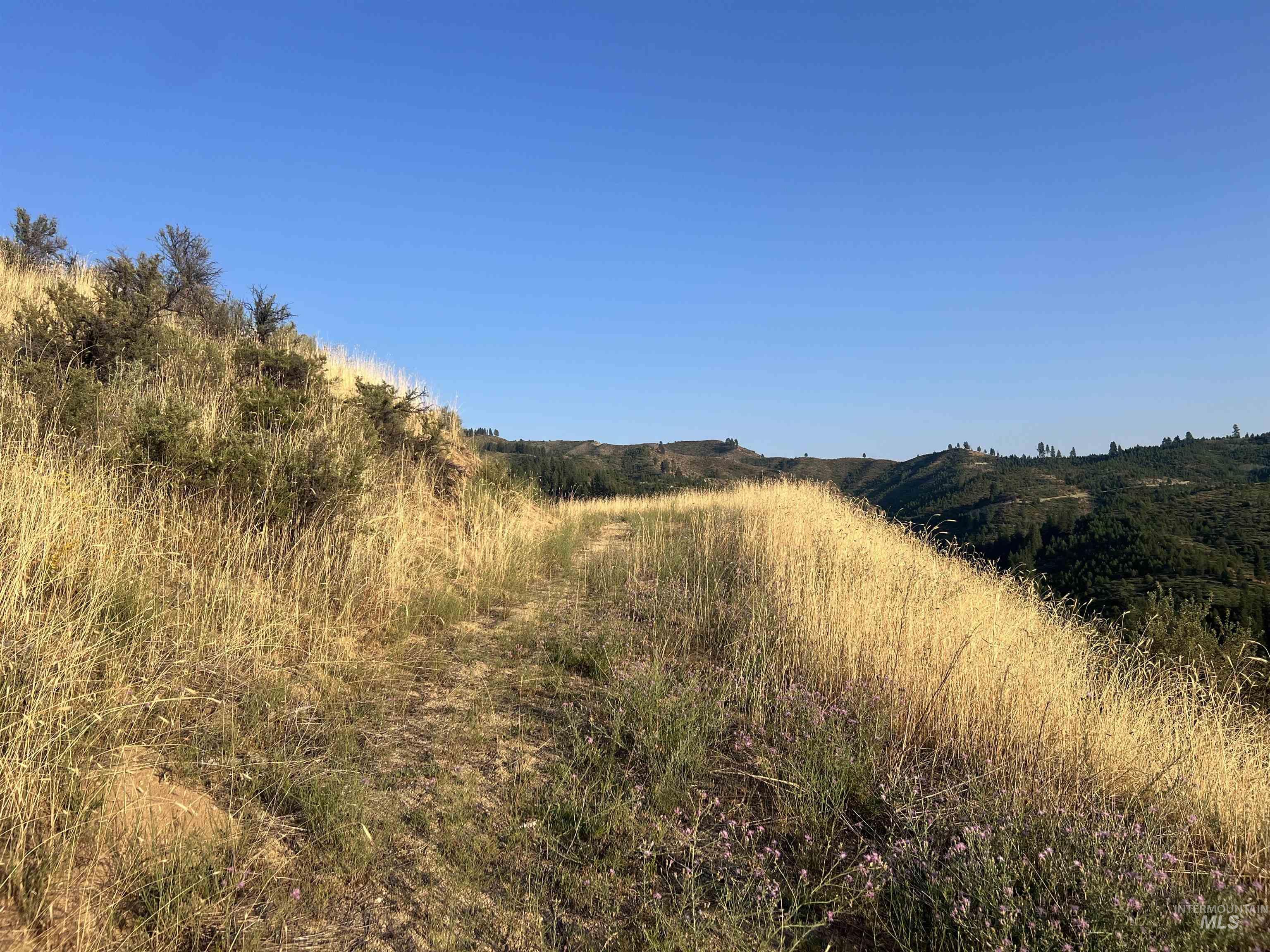 LOTS 17&18 Napias Sub Division, Boise, Idaho 83716, Land For Sale, Price $199,000, 98941140