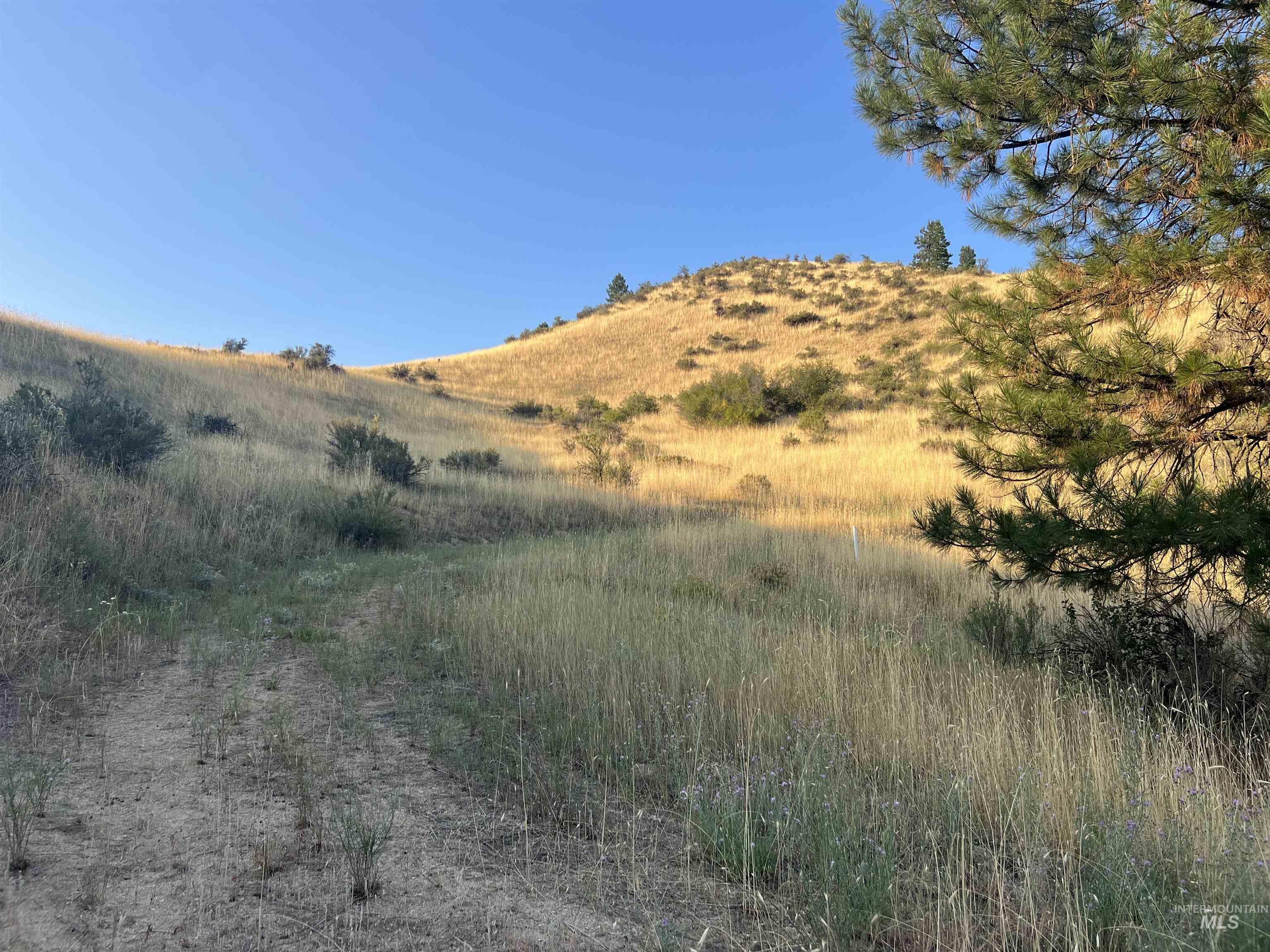 LOTS 17&18 Napias Sub Division, Boise, Idaho 83716, Land For Sale, Price $199,000, 98941140