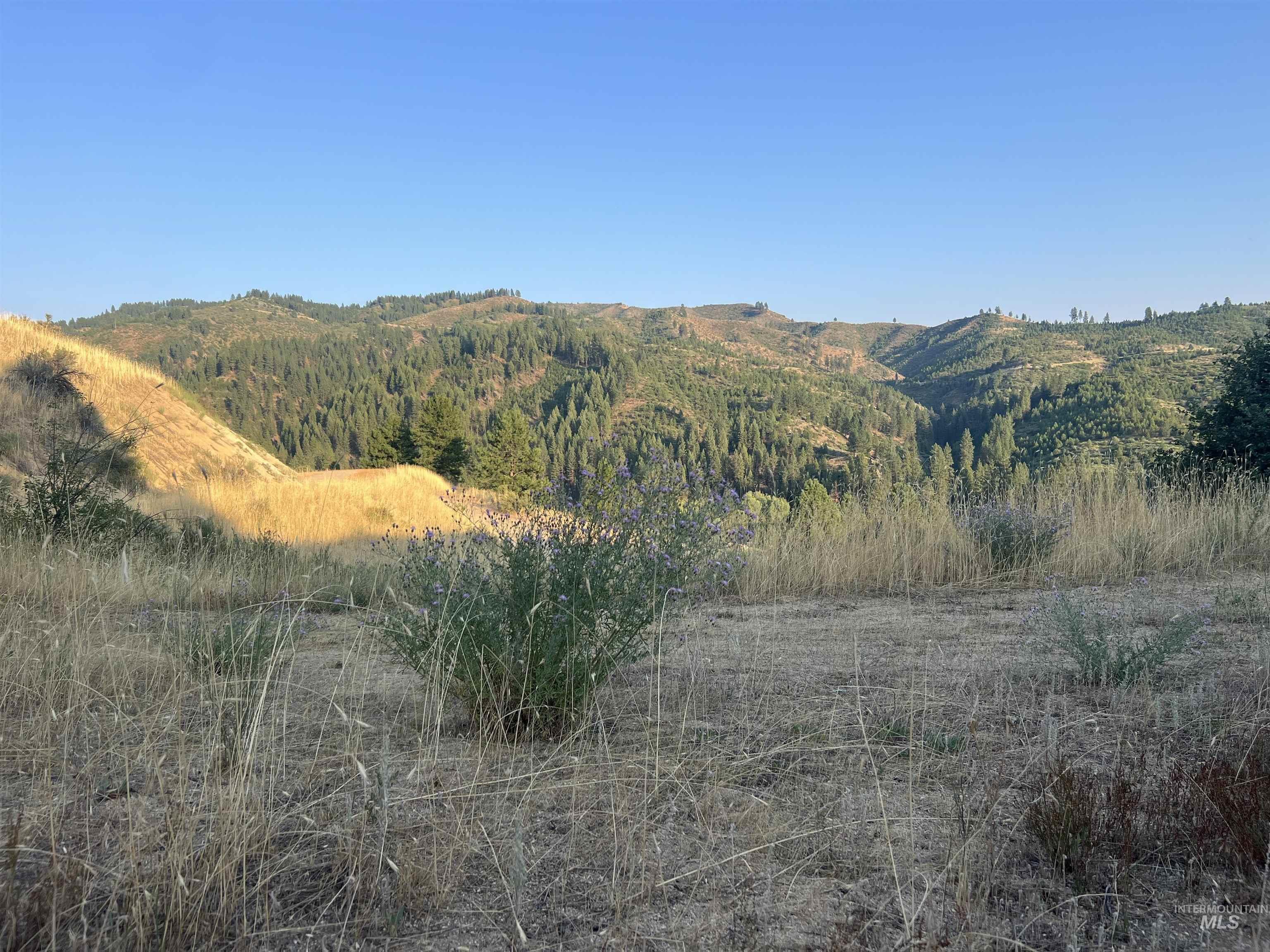 LOTS 17&18 Napias Sub Division, Boise, Idaho 83716, Land For Sale, Price $199,000, 98941140
