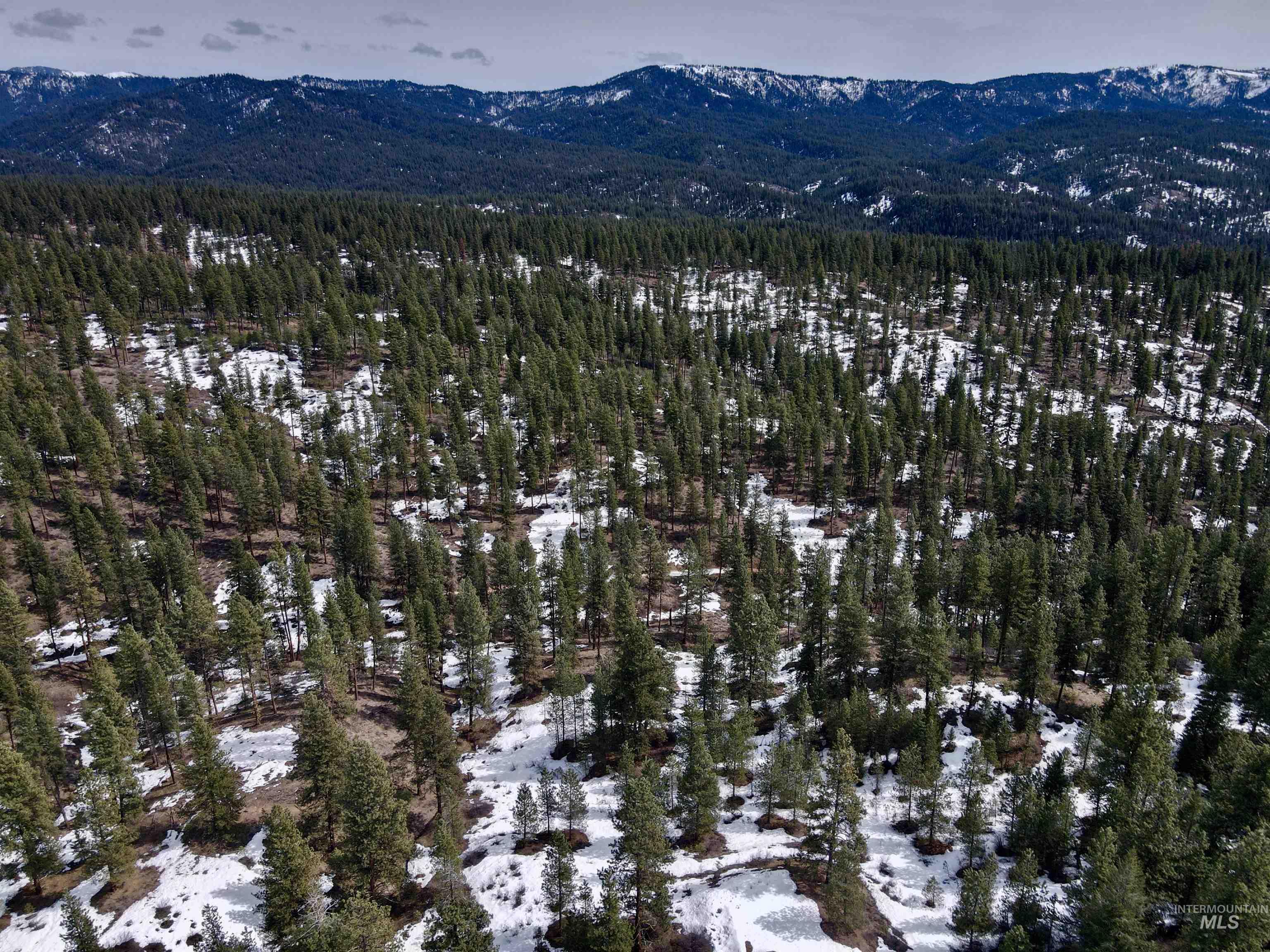 190 Meadow Dr. Lot 16, Idaho City, Idaho 83631, Land For Sale, Price $299,000, 98941166