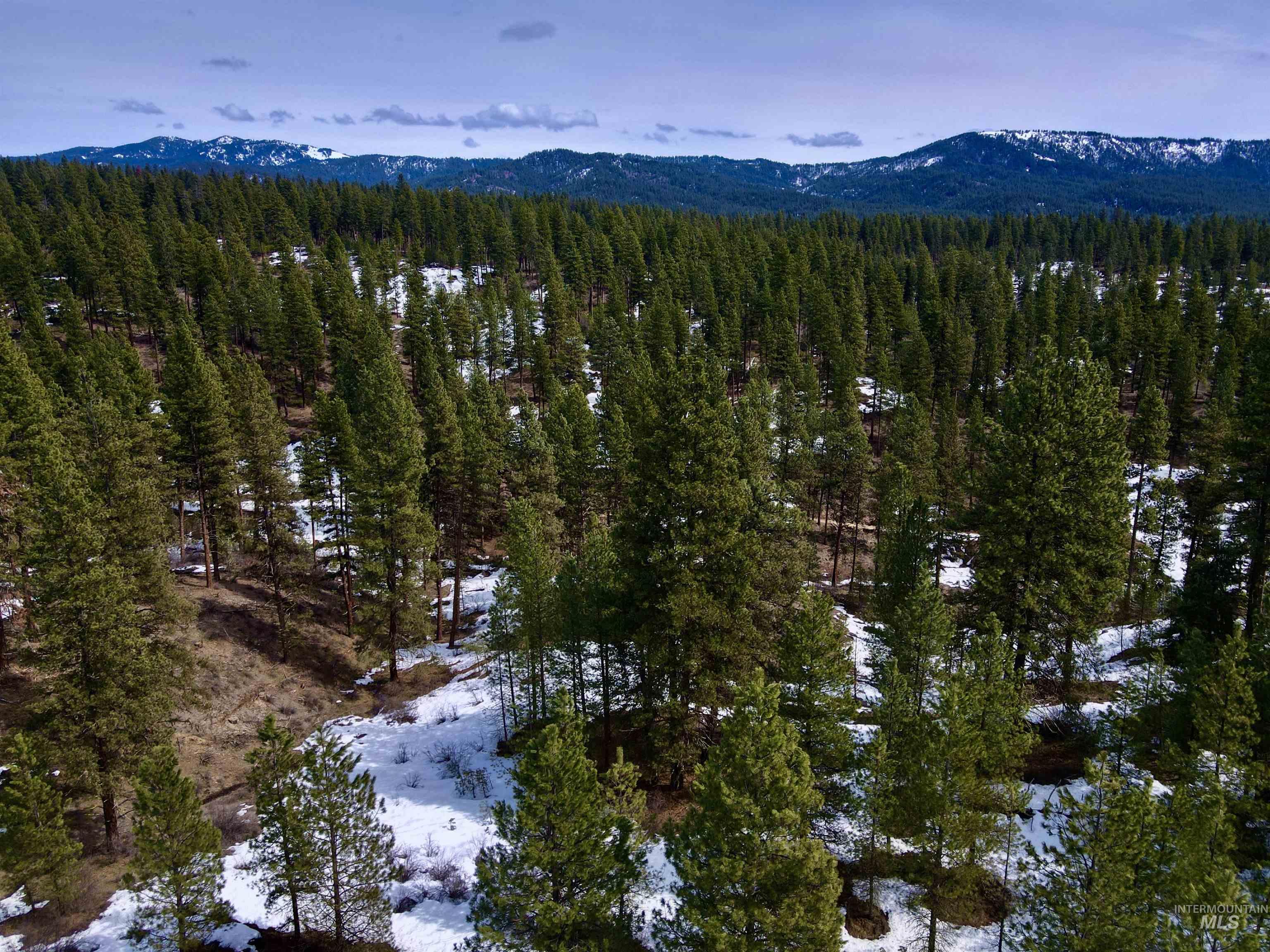 190 Meadow Dr. Lot 16, Idaho City, Idaho 83631, Land For Sale, Price $299,000, 98941166