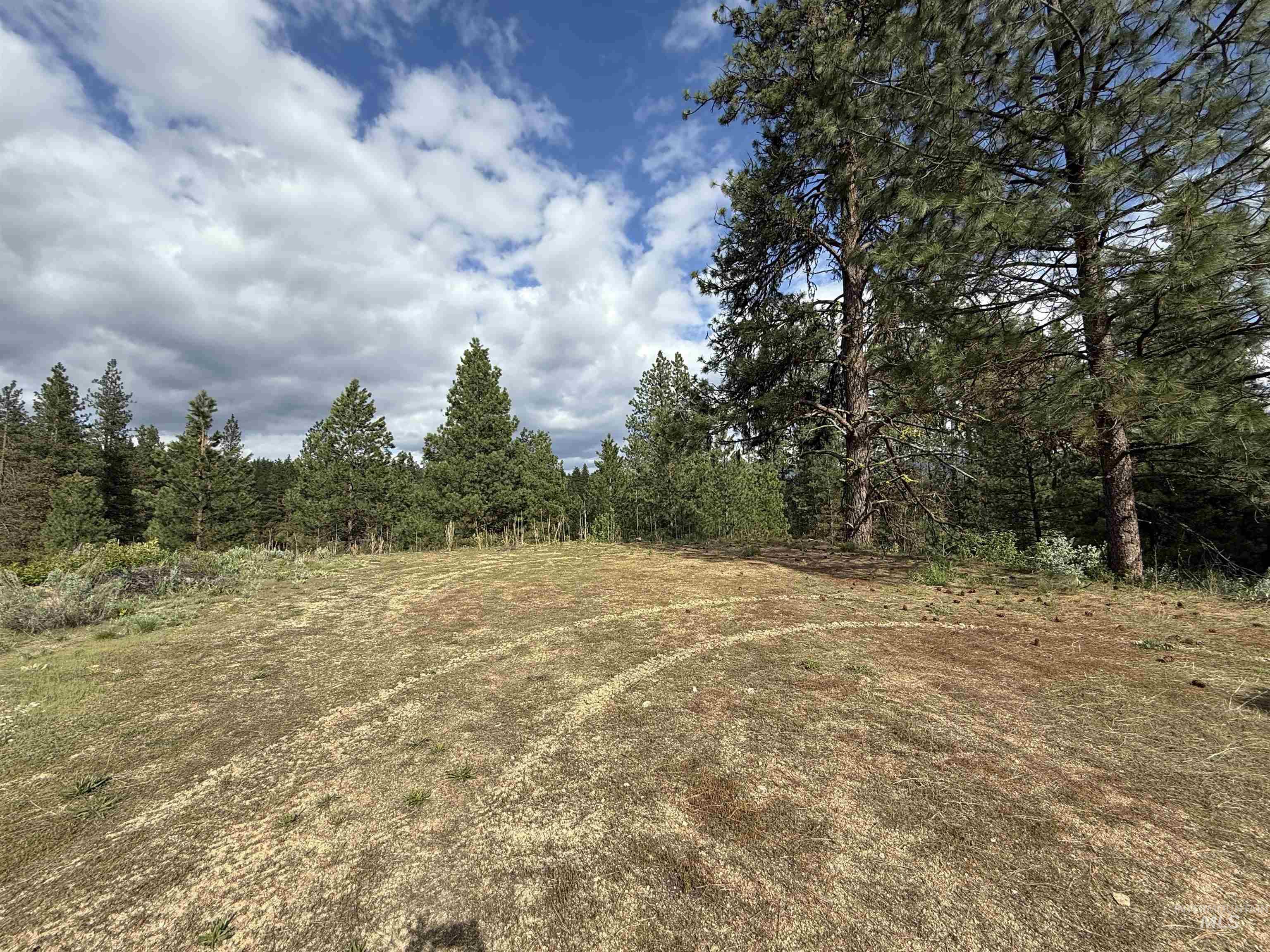 190 Meadow Dr. Lot 16, Idaho City, Idaho 83631, Land For Sale, Price $299,000, 98941166
