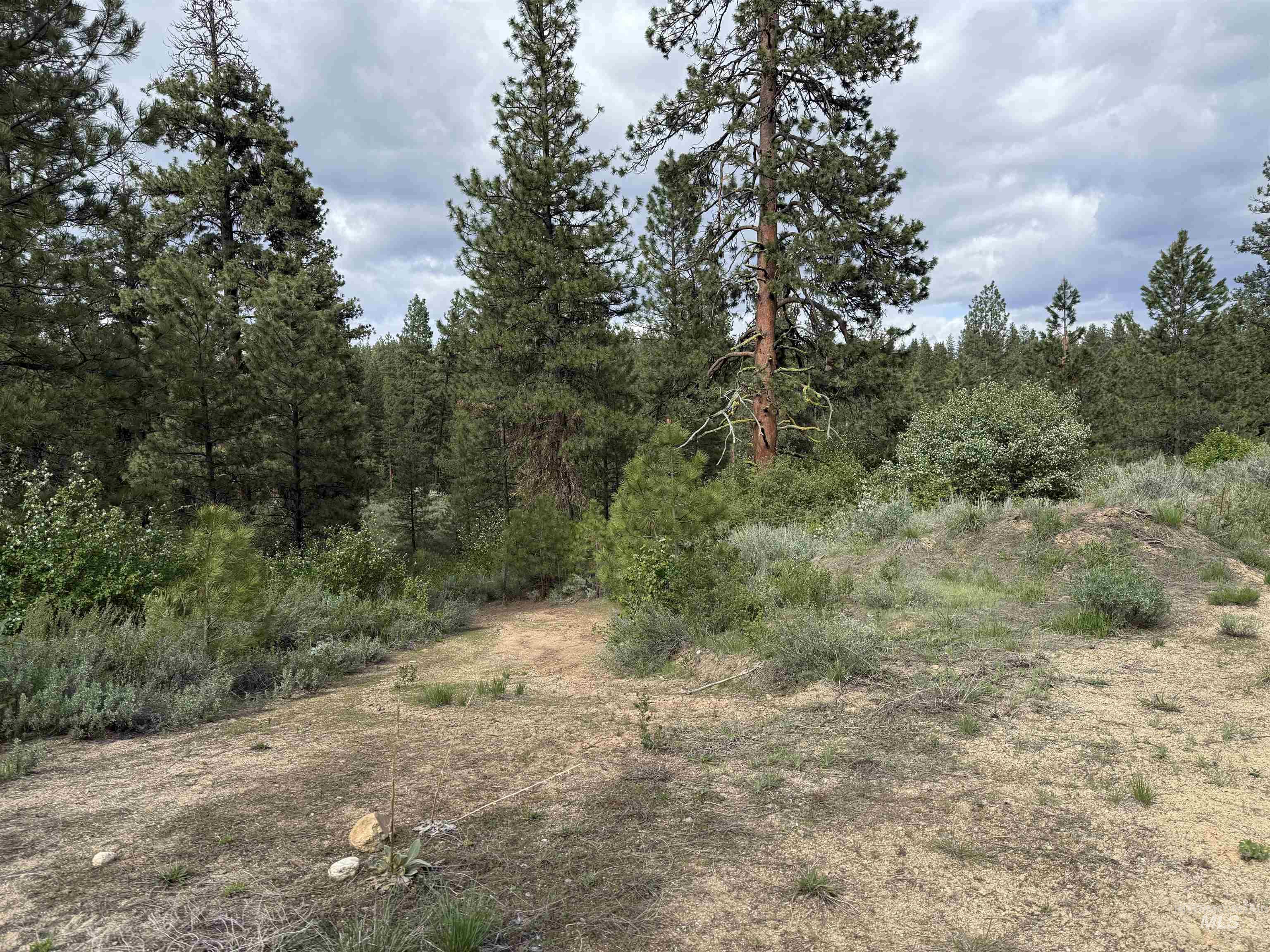 190 Meadow Dr. Lot 16, Idaho City, Idaho 83631, Land For Sale, Price $299,000, 98941166
