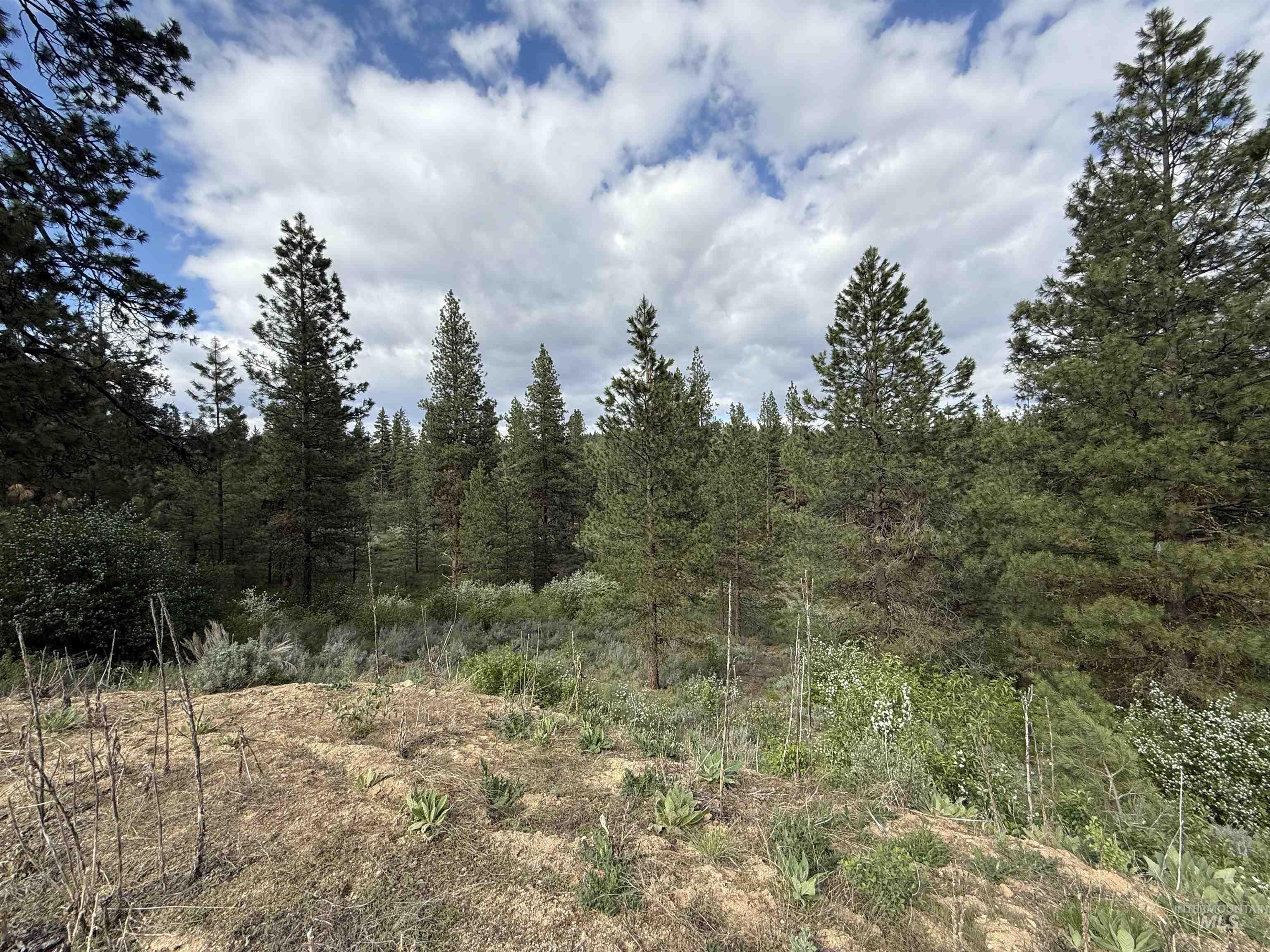 190 Meadow Dr. Lot 16, Idaho City, Idaho 83631, Land For Sale, Price $299,000, 98941166