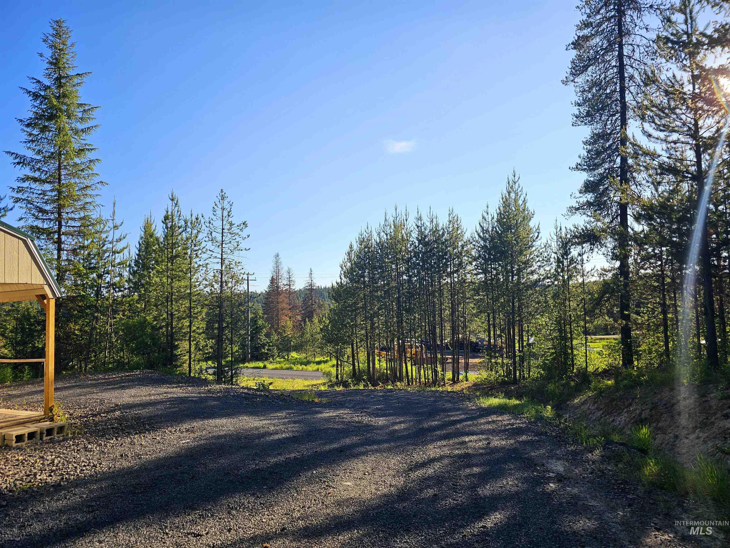 1000 Sanderson Ln, Bovill, Idaho 83806, Land For Sale, Price $299,000, 98941203