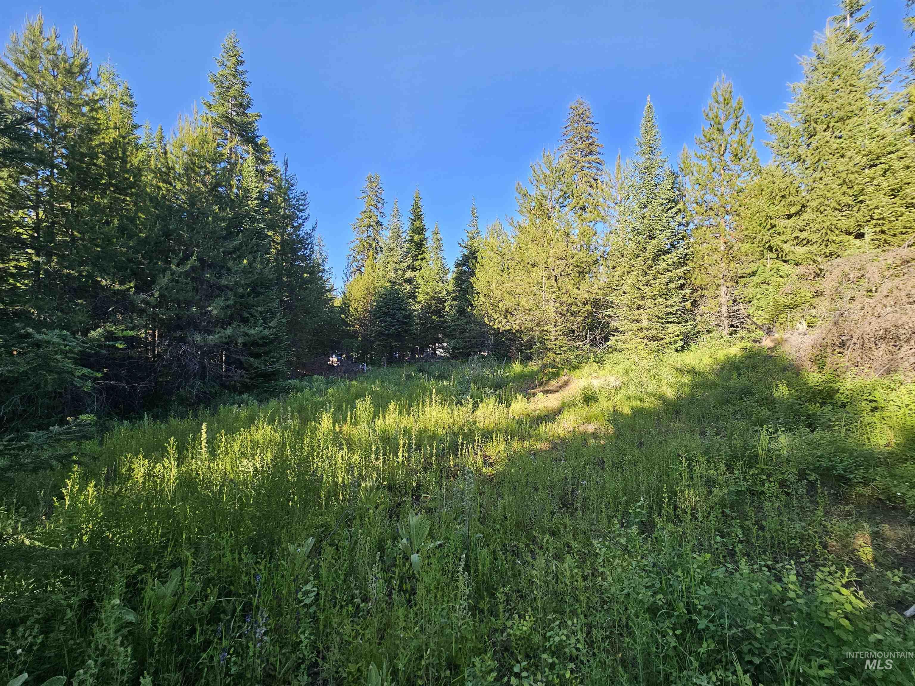 1000 Sanderson Ln, Bovill, Idaho 83806, Land For Sale, Price $299,000, 98941203