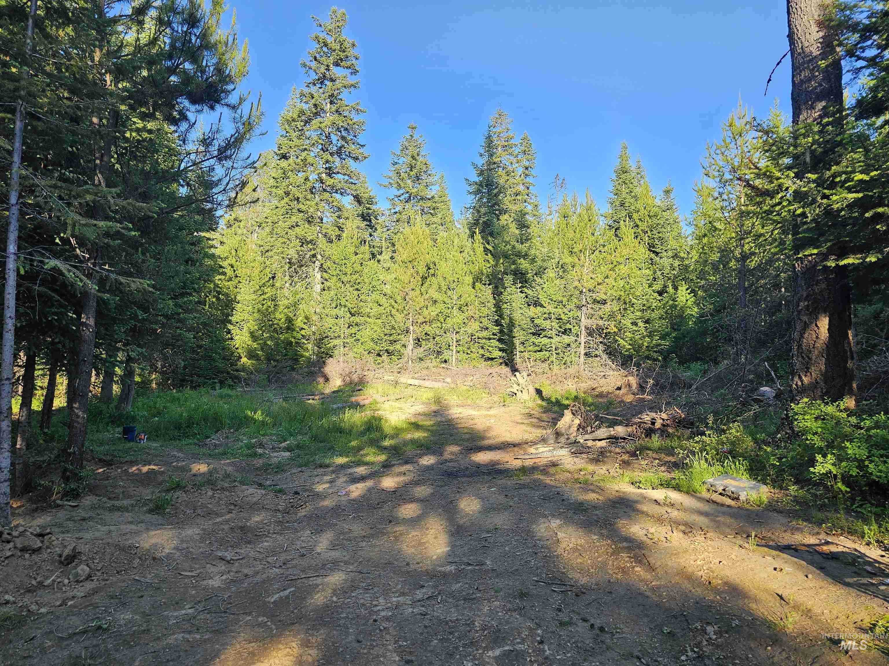 1000 Sanderson Ln, Bovill, Idaho 83806, Land For Sale, Price $299,000, 98941203