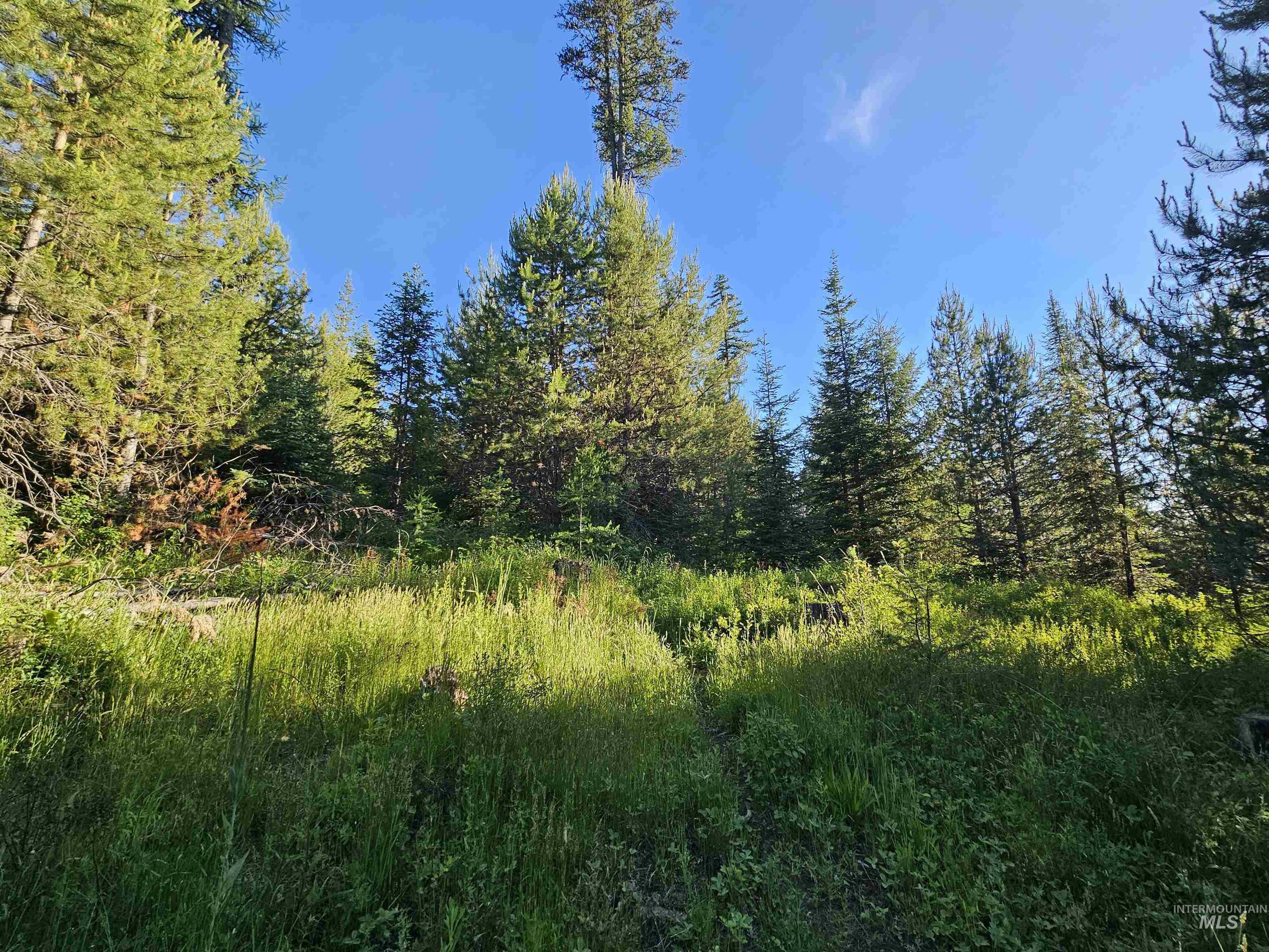 1000 Sanderson Ln, Bovill, Idaho 83806, Land For Sale, Price $299,000, 98941203