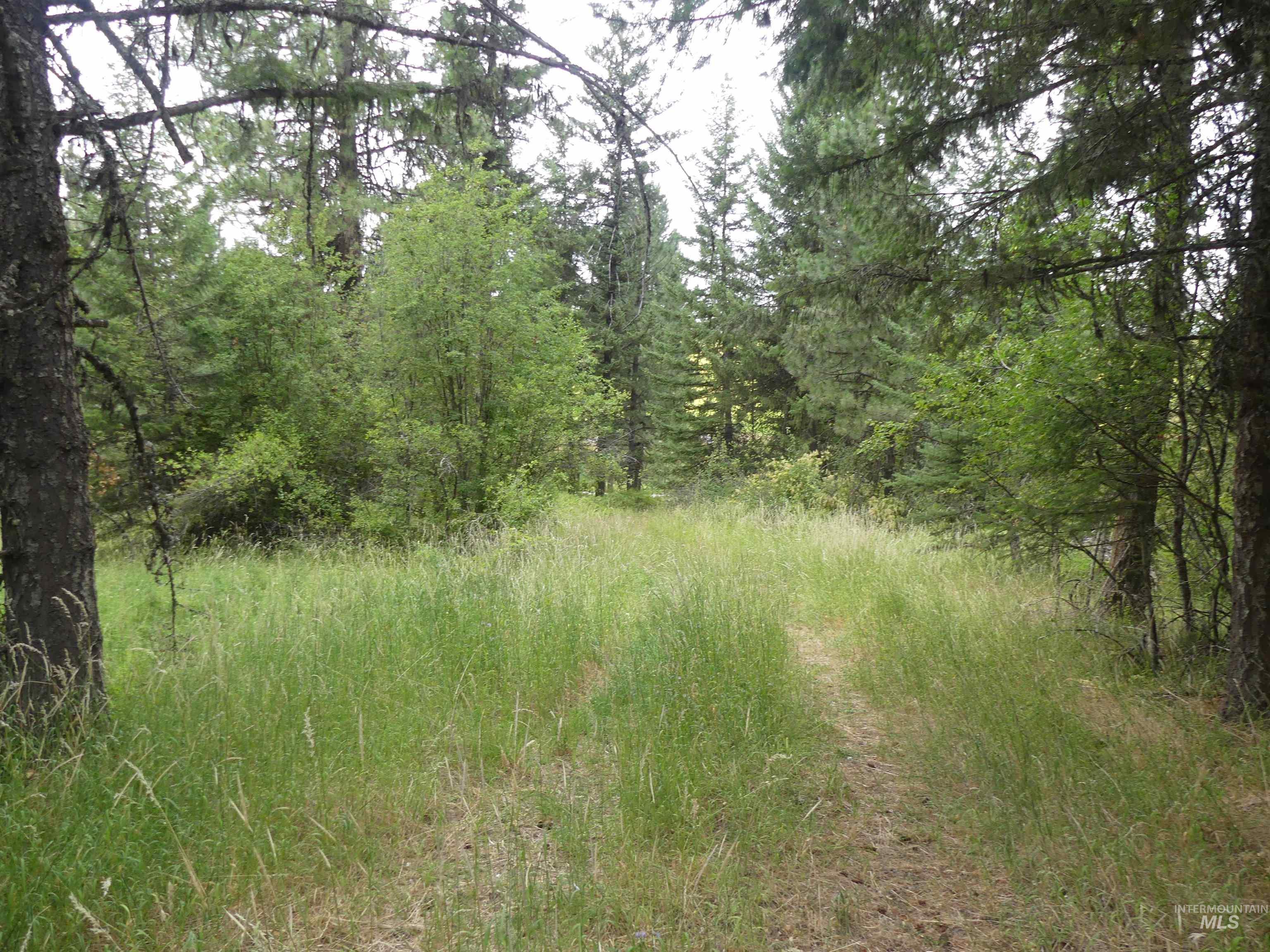 506 Devils Elbow Drive, Lenore, Idaho 83541, Land For Sale, Price $350,000, 98941221