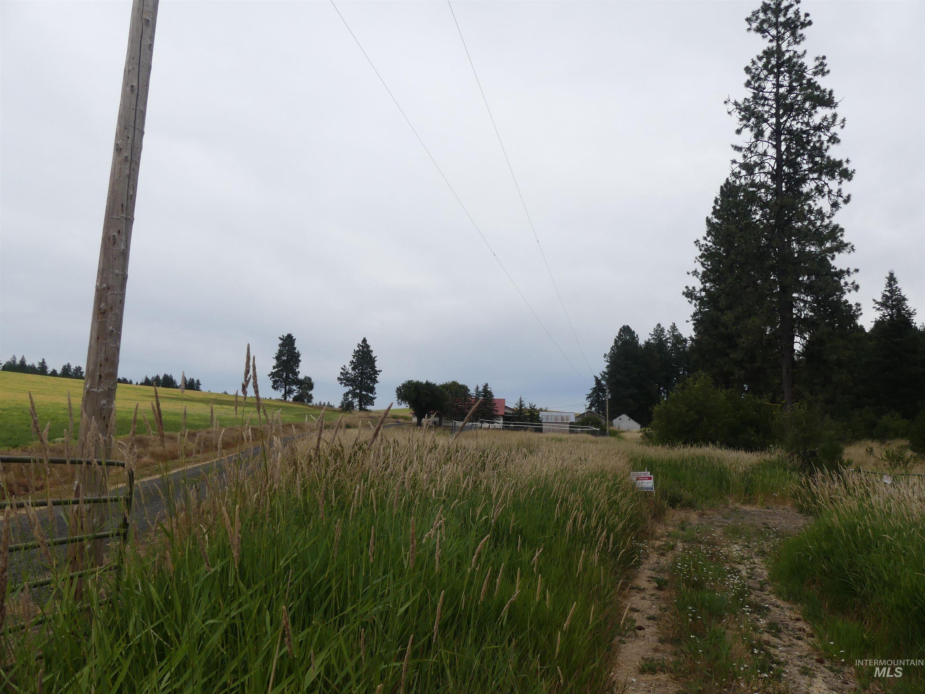 506 Devils Elbow Drive, Lenore, Idaho 83541, Land For Sale, Price $350,000, 98941221