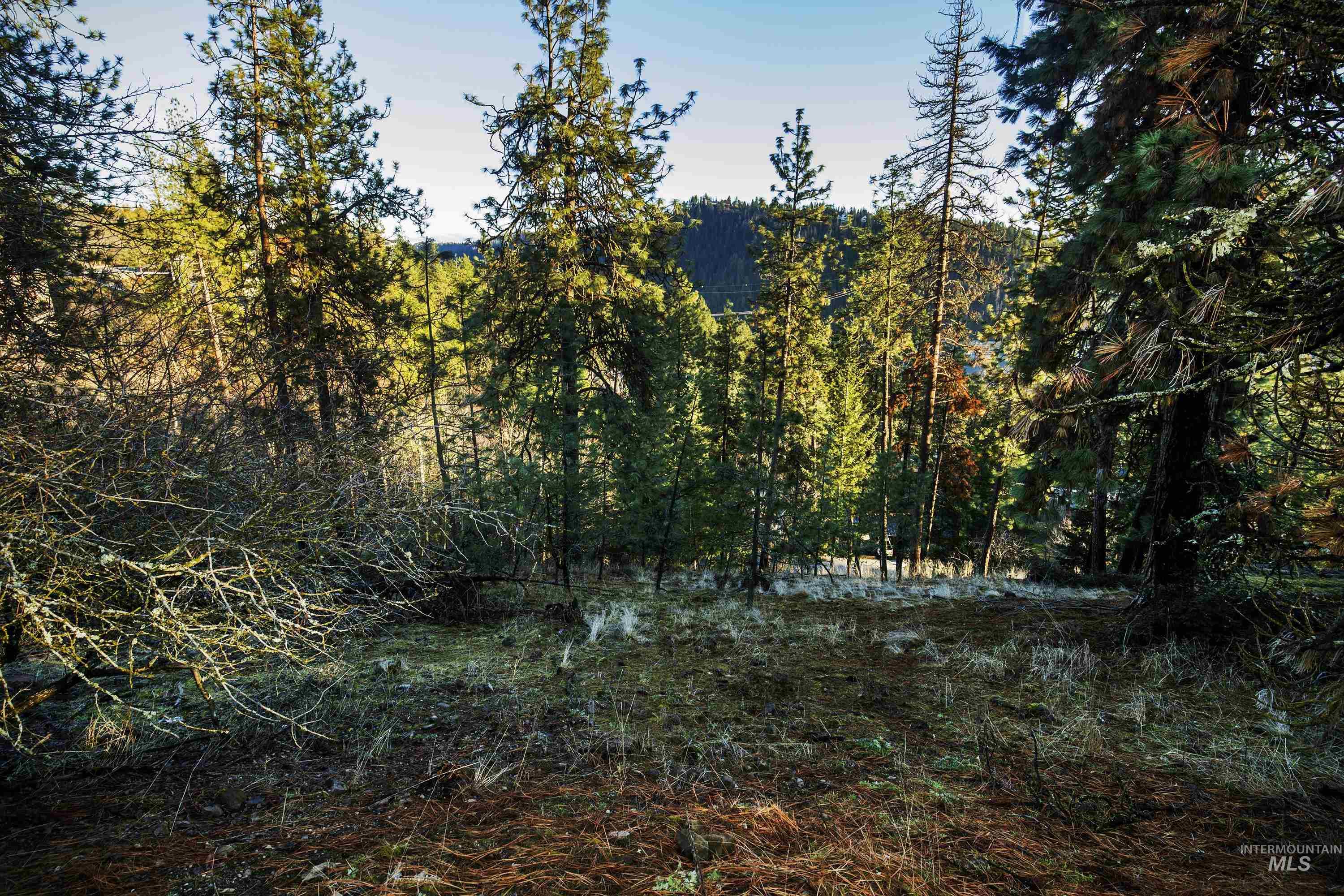 NNA E Fernan Hill Rd., Coeur d'Alene, Idaho 83814-0000, Land For Sale, Price $249,000, 98941225